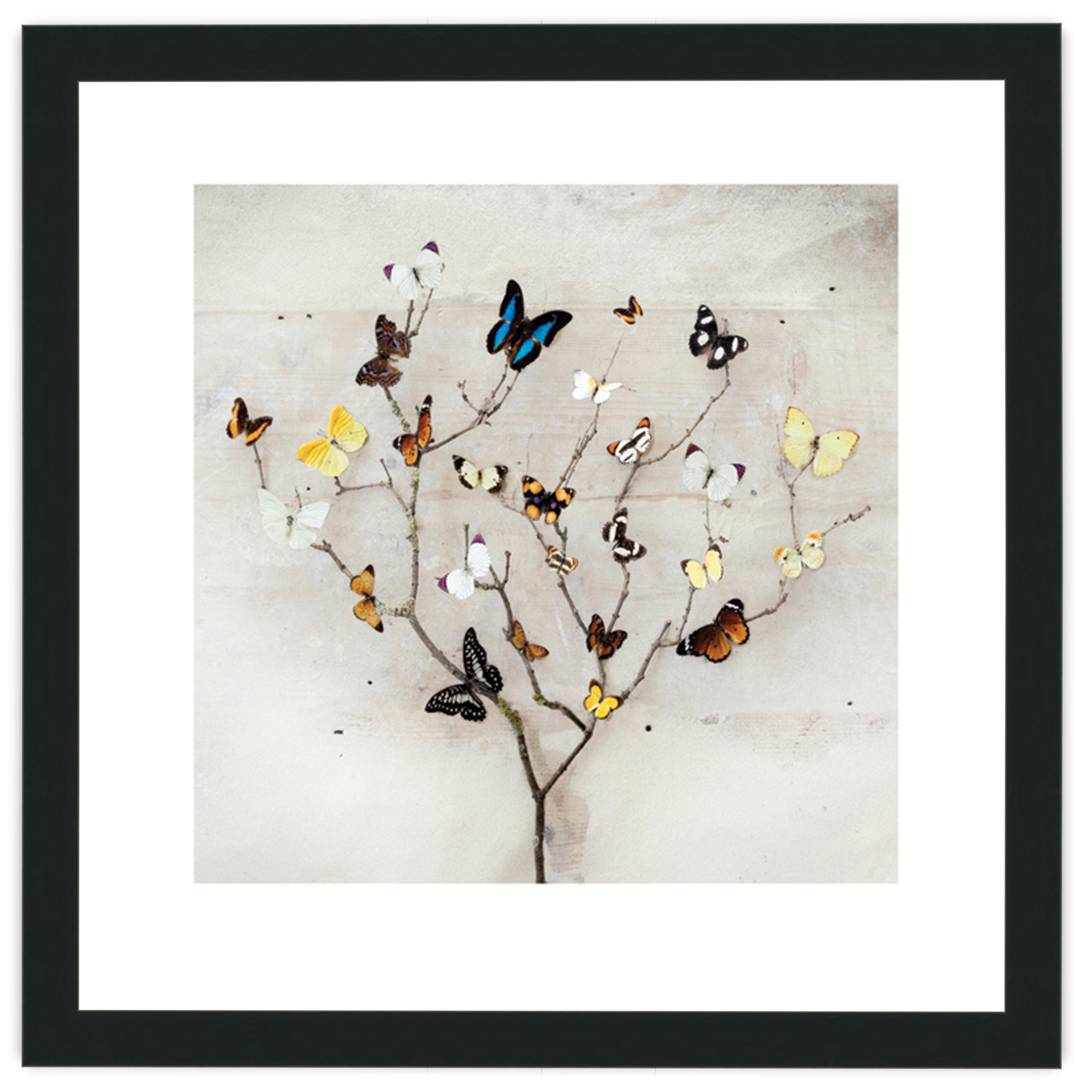 Tree of Butterflies