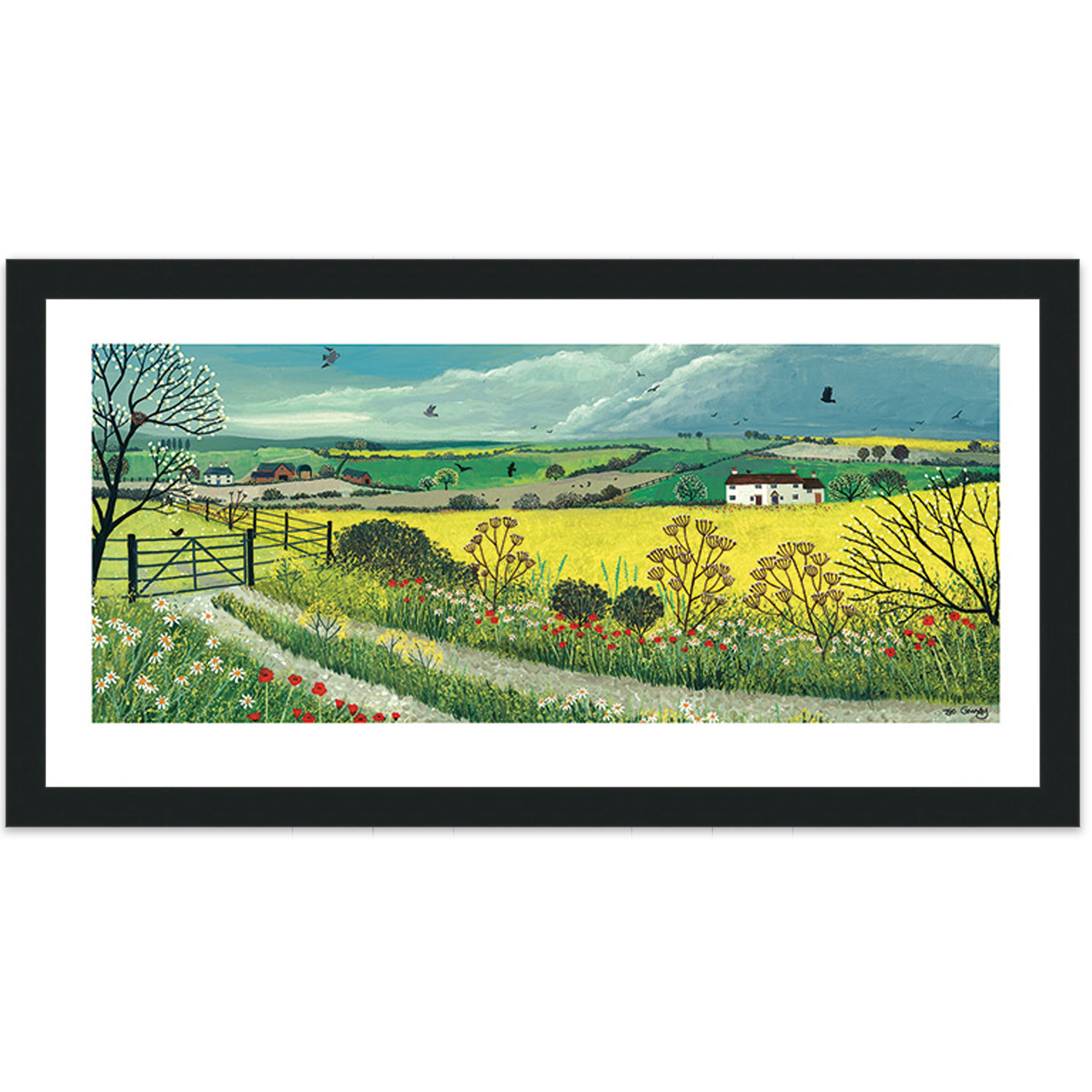 Canola Fields