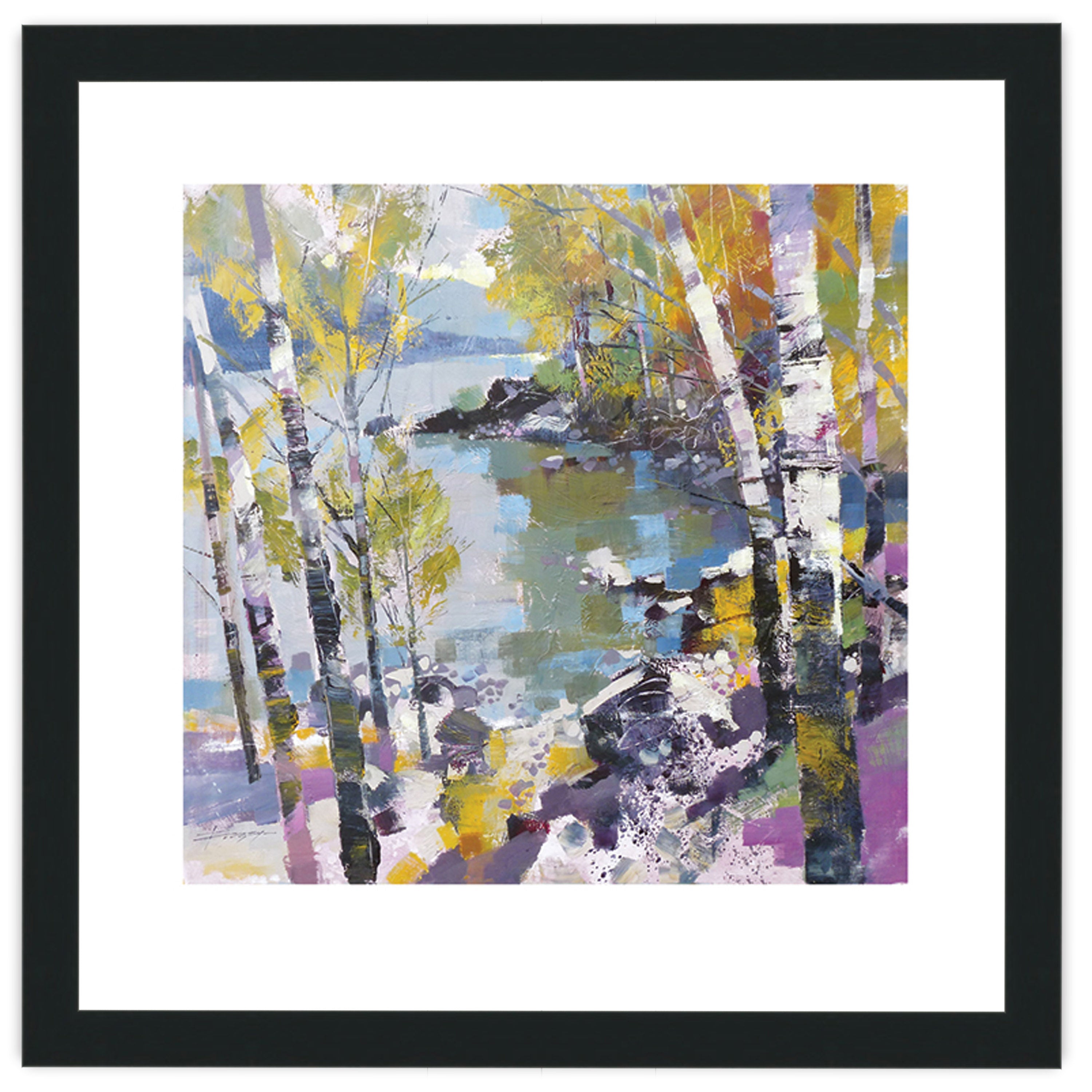 Birch in Spring