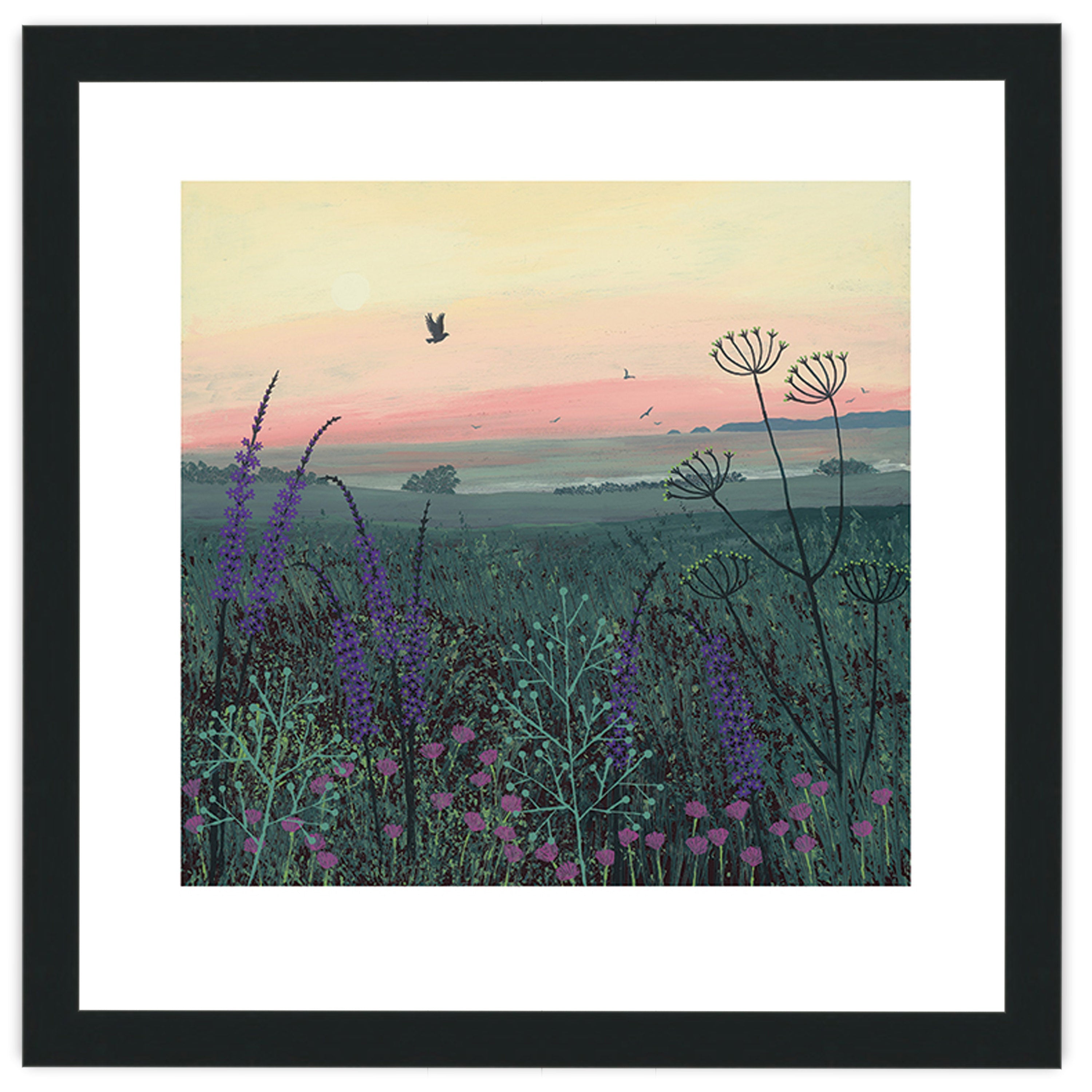 Coastal Dawn