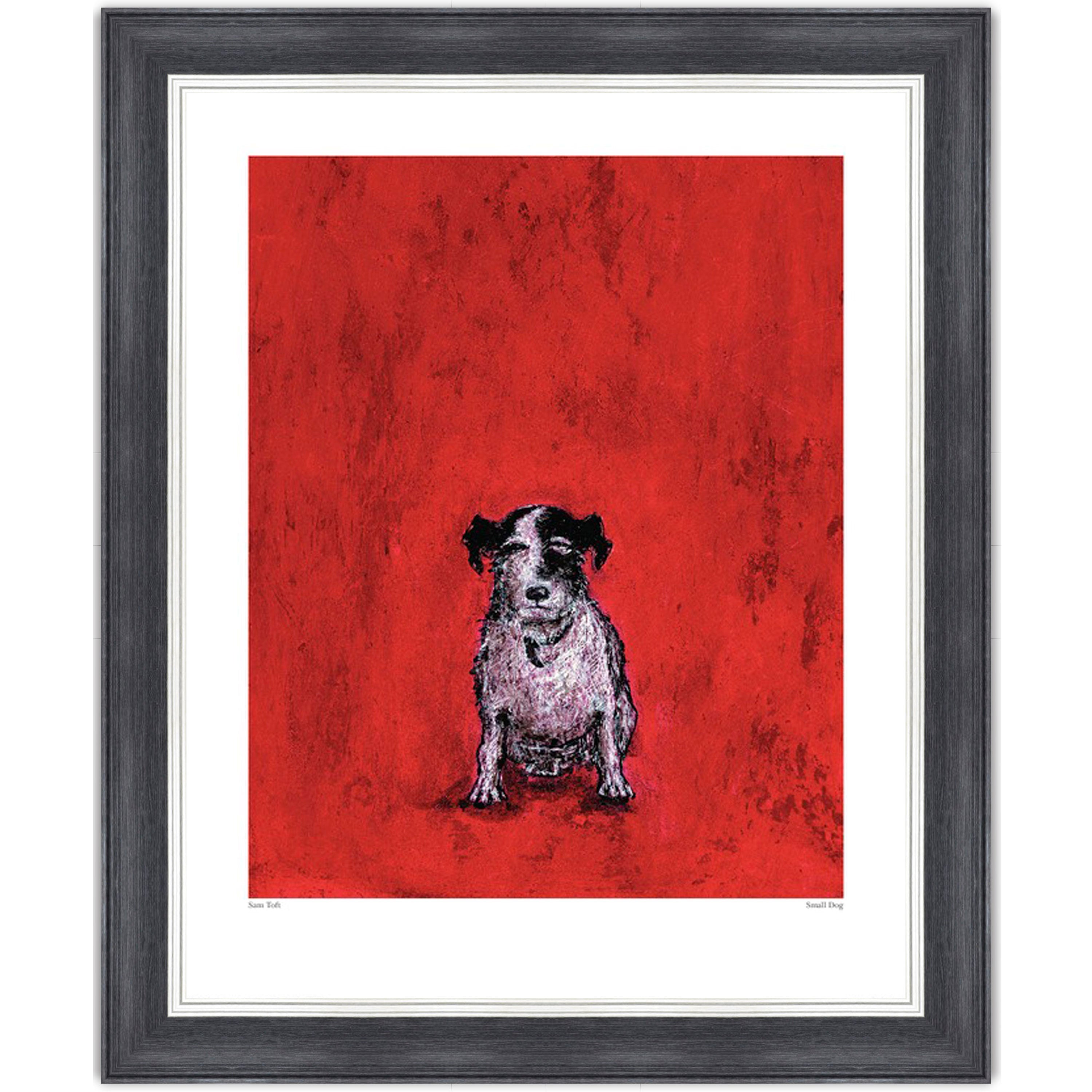 Small Dog