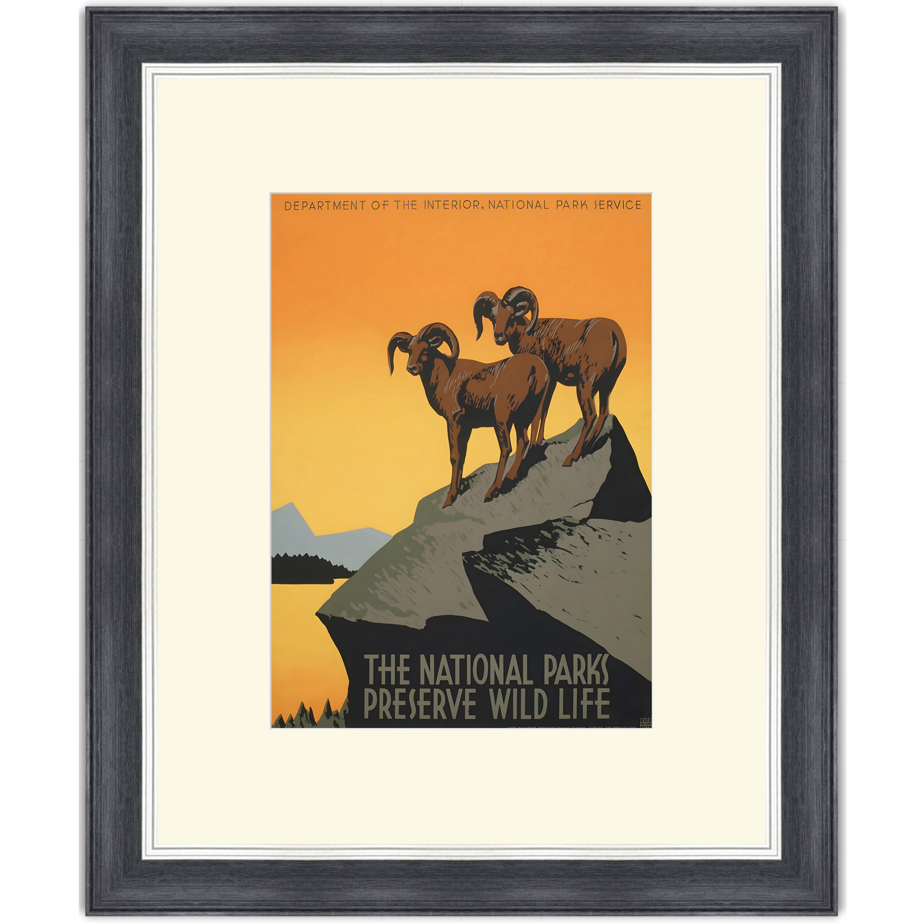 The National Parks Preserve Wild Life