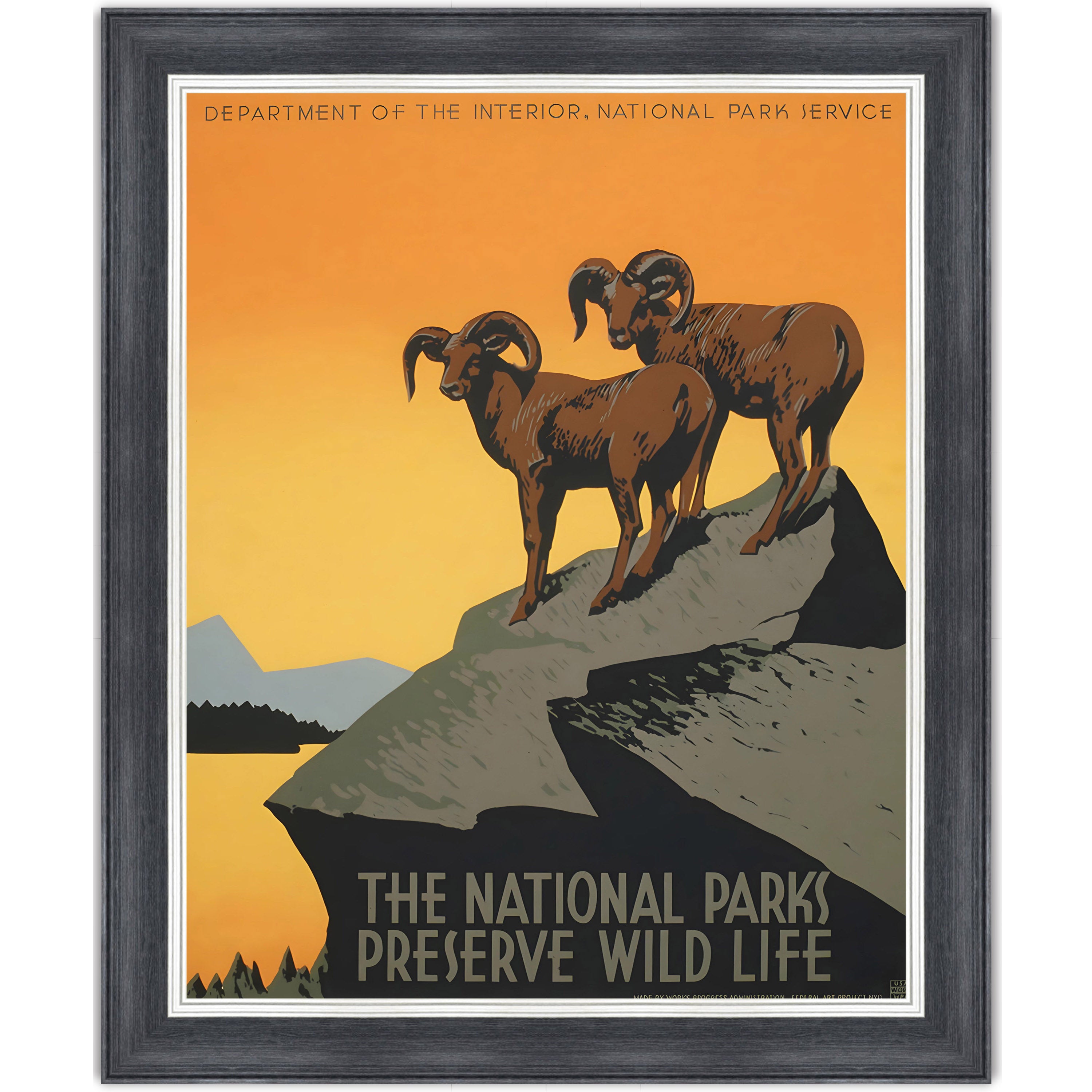 The National Parks Preserve Wild Life