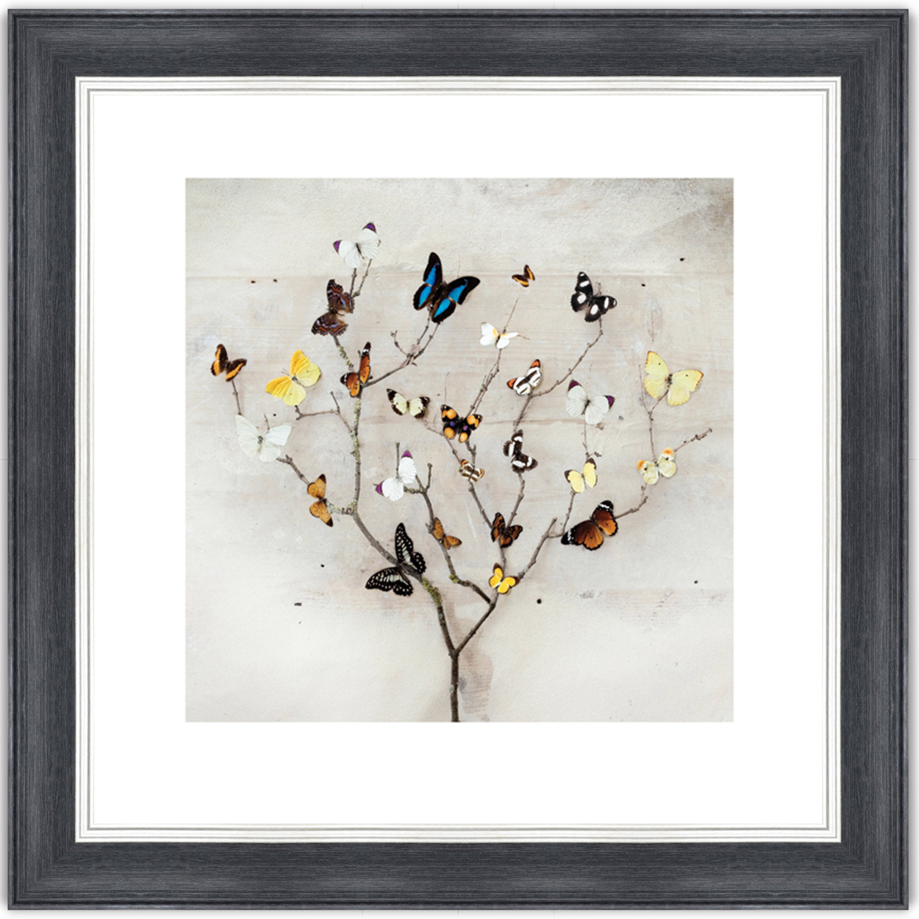 Tree of Butterflies