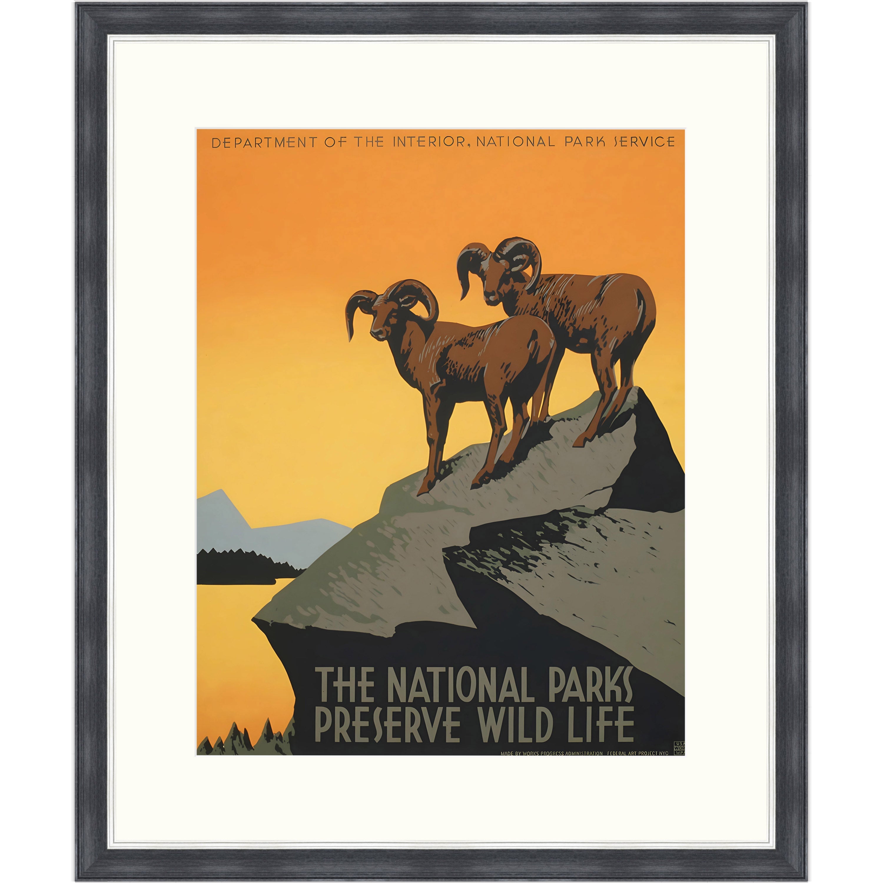 The National Parks Preserve Wild Life