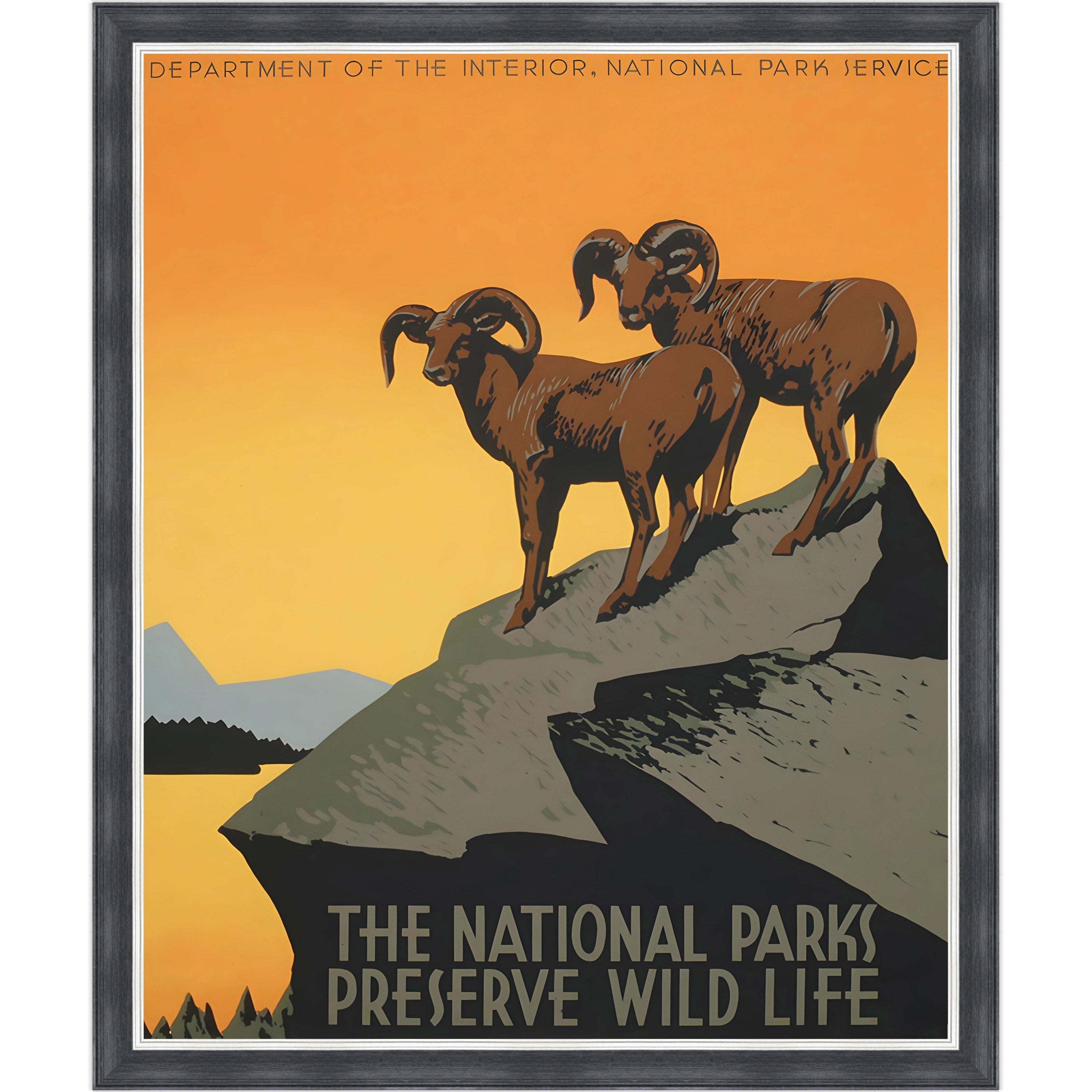 The National Parks Preserve Wild Life