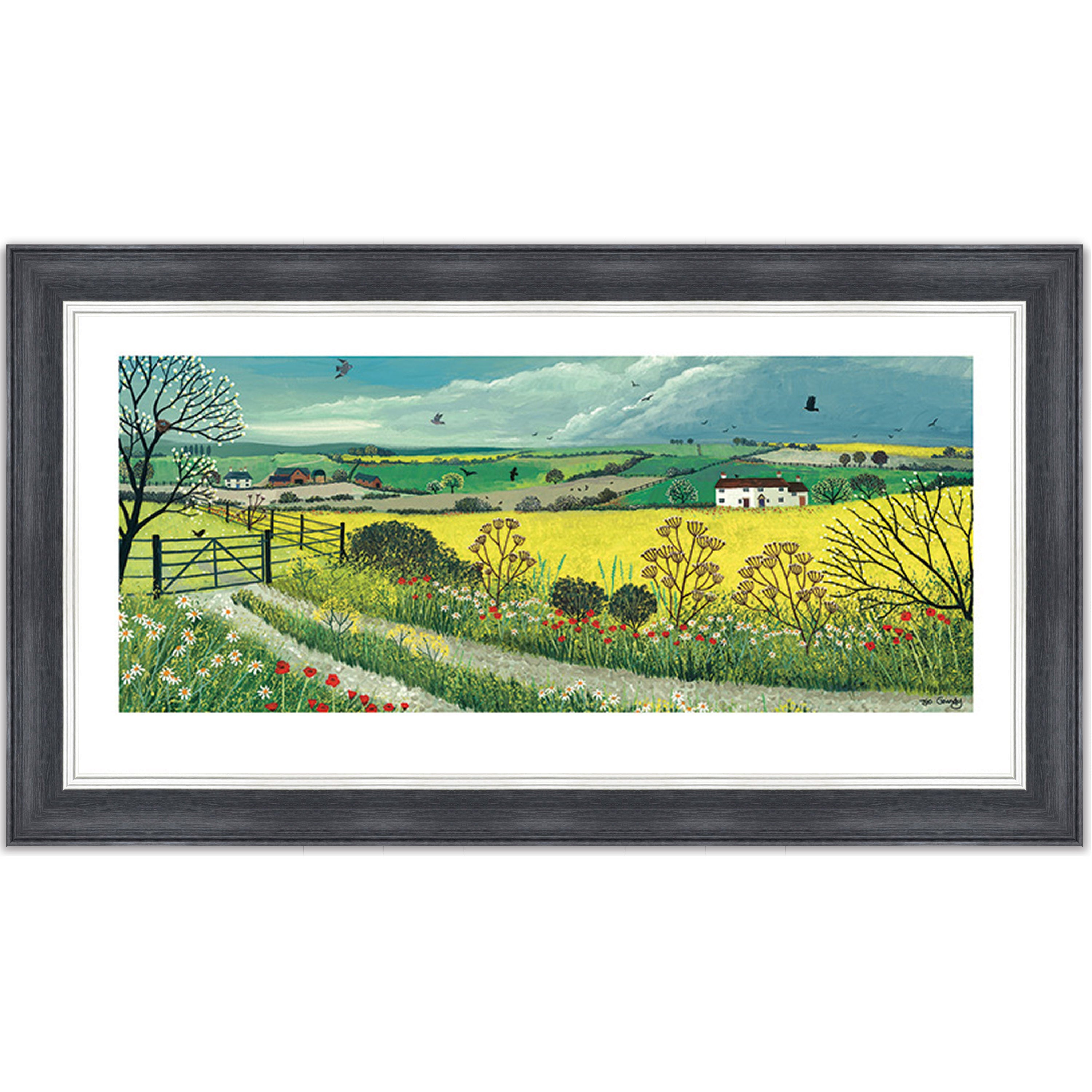 Canola Fields