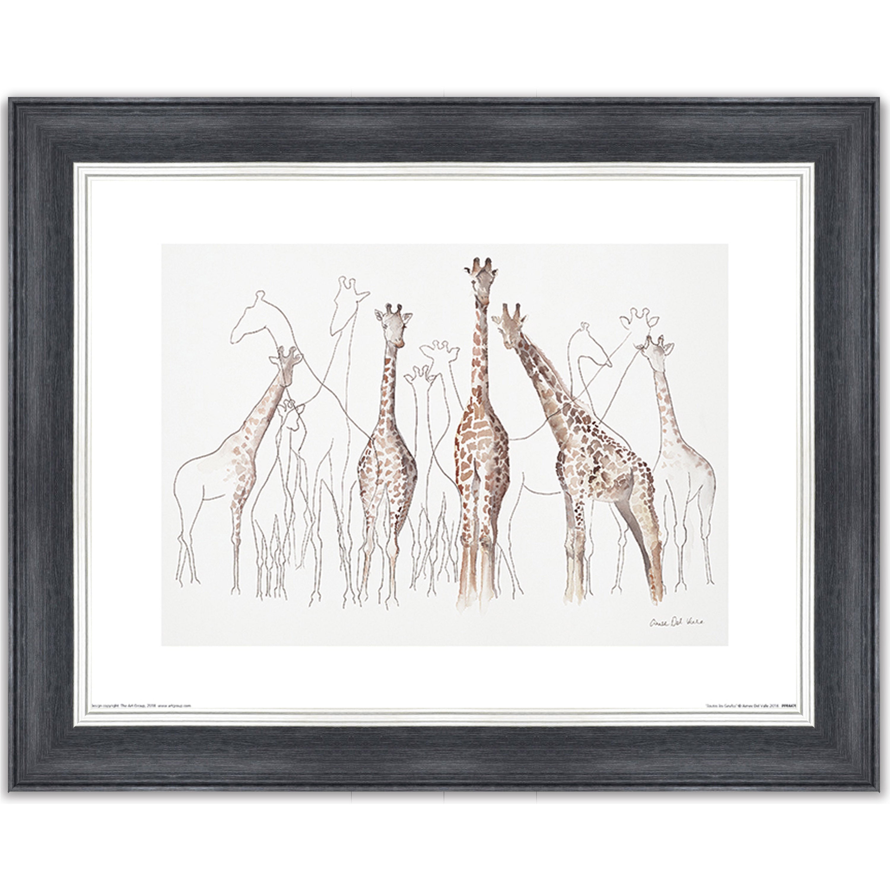 Toutes les Girafes