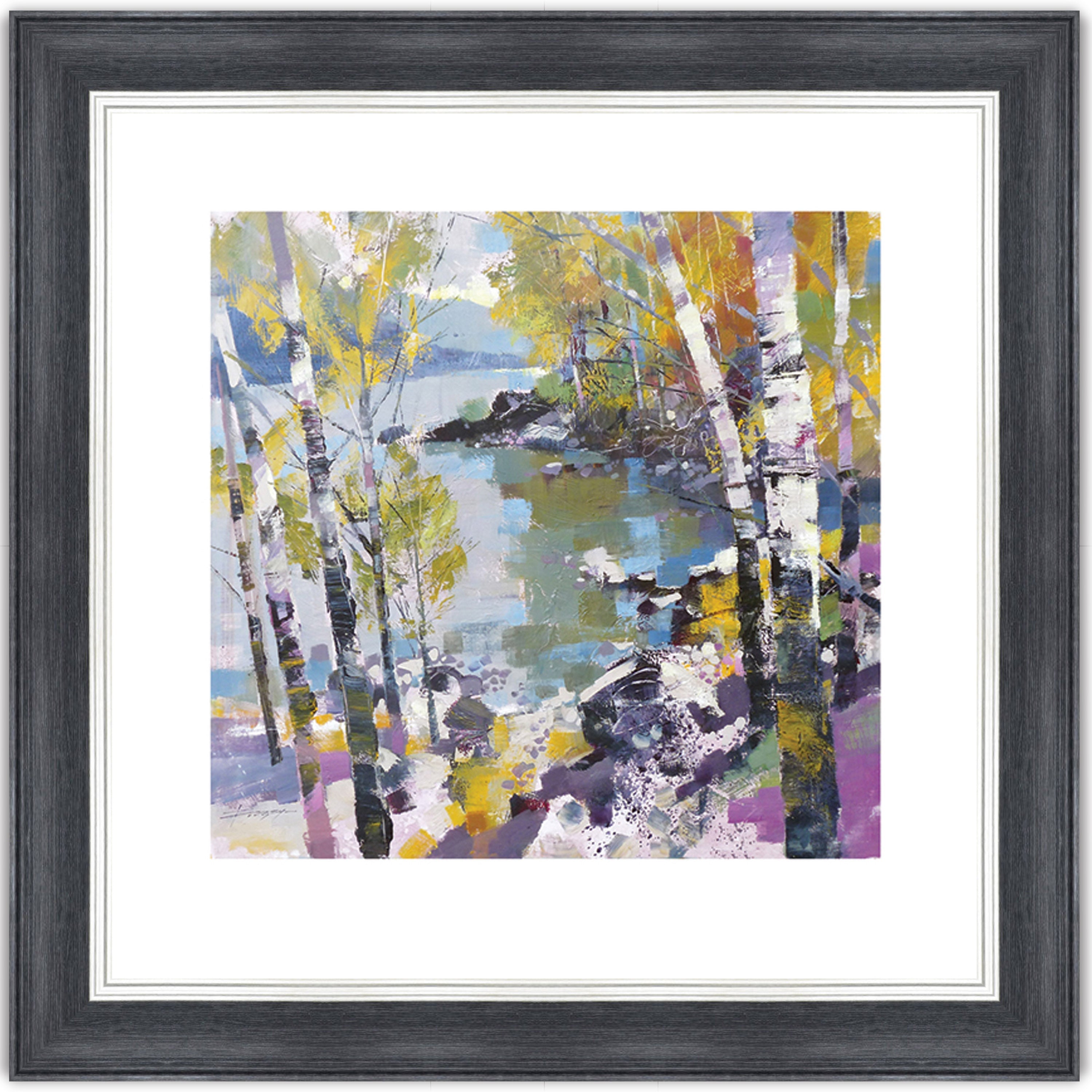 Birch in Spring