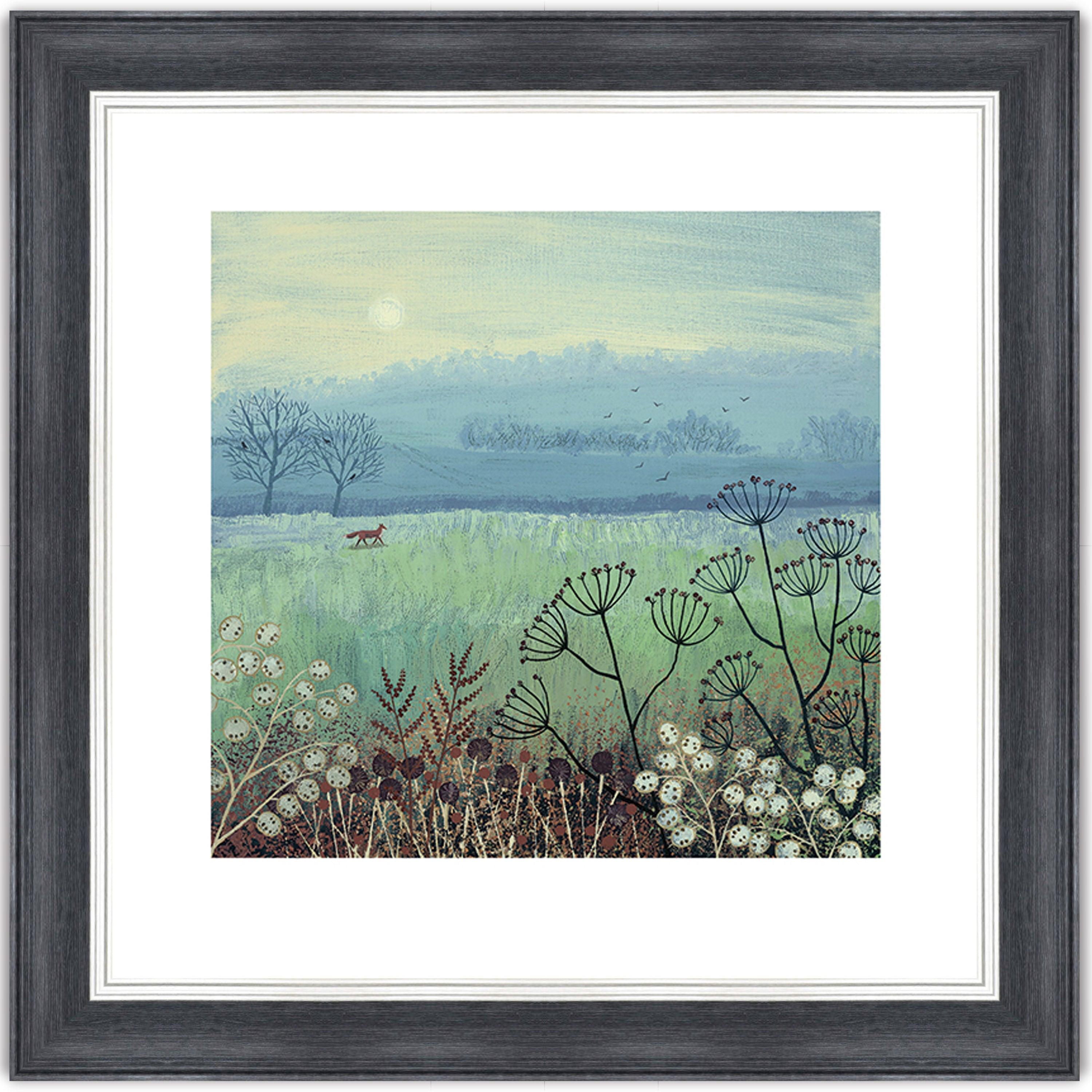 Misty Morning