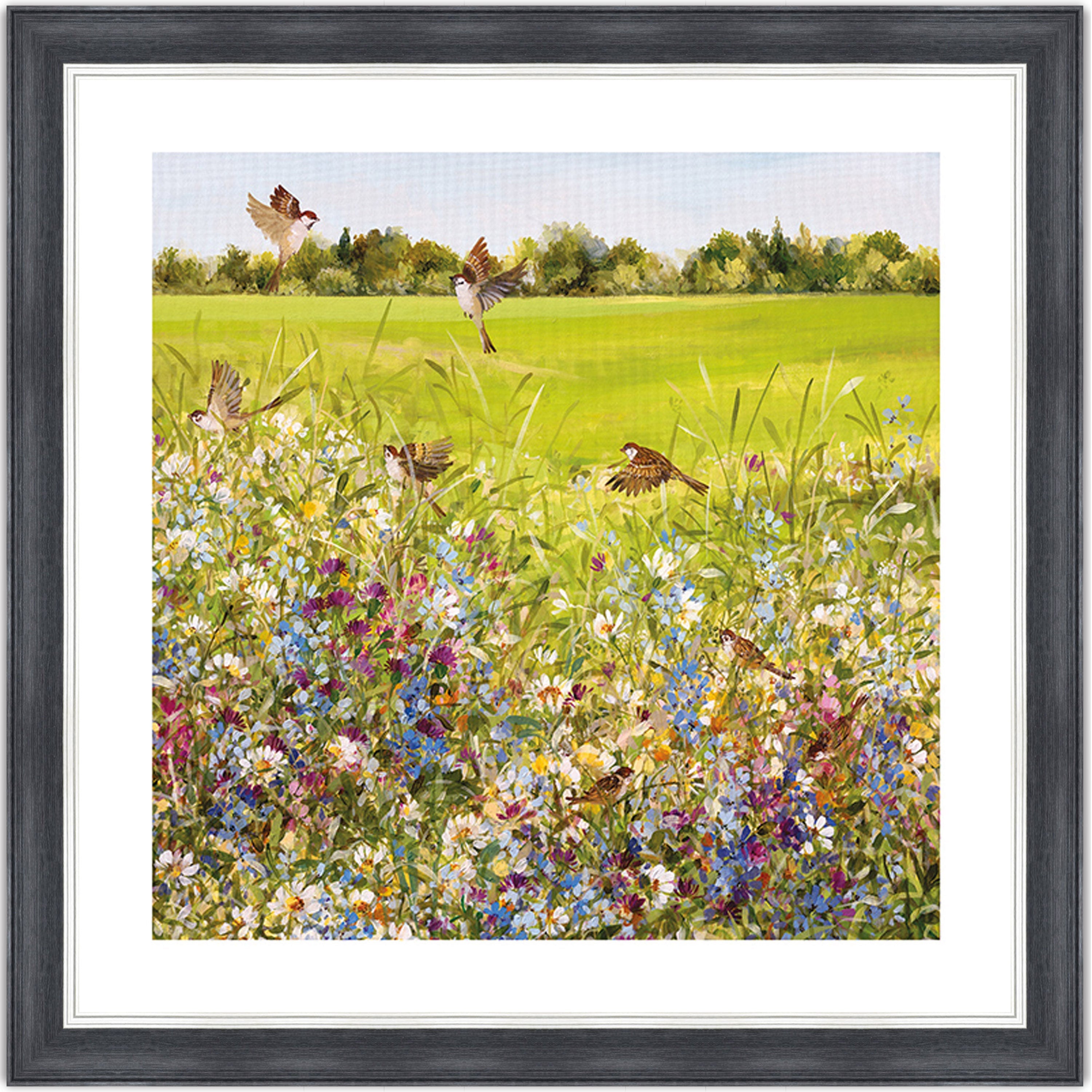 Open Meadow