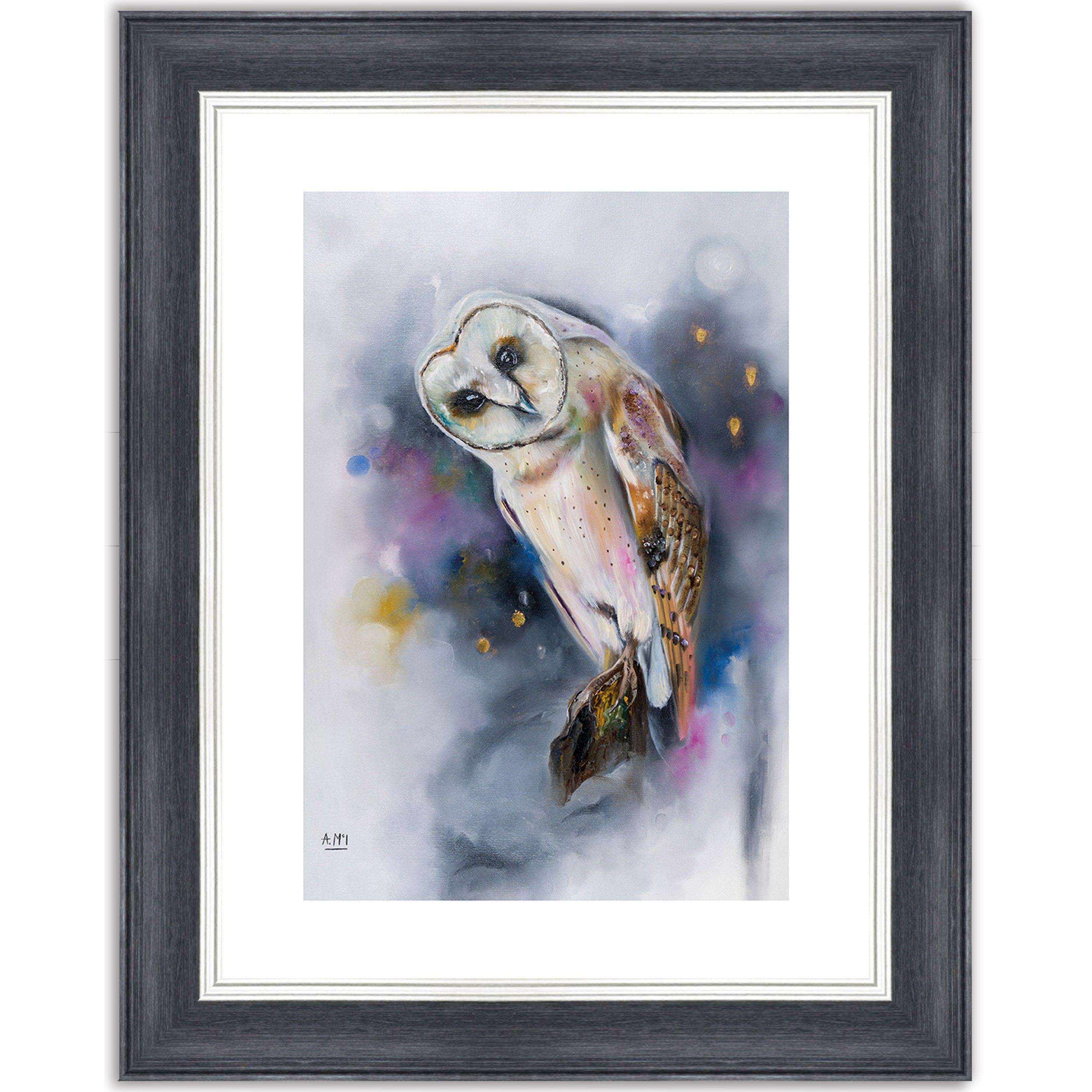 Owl Watching