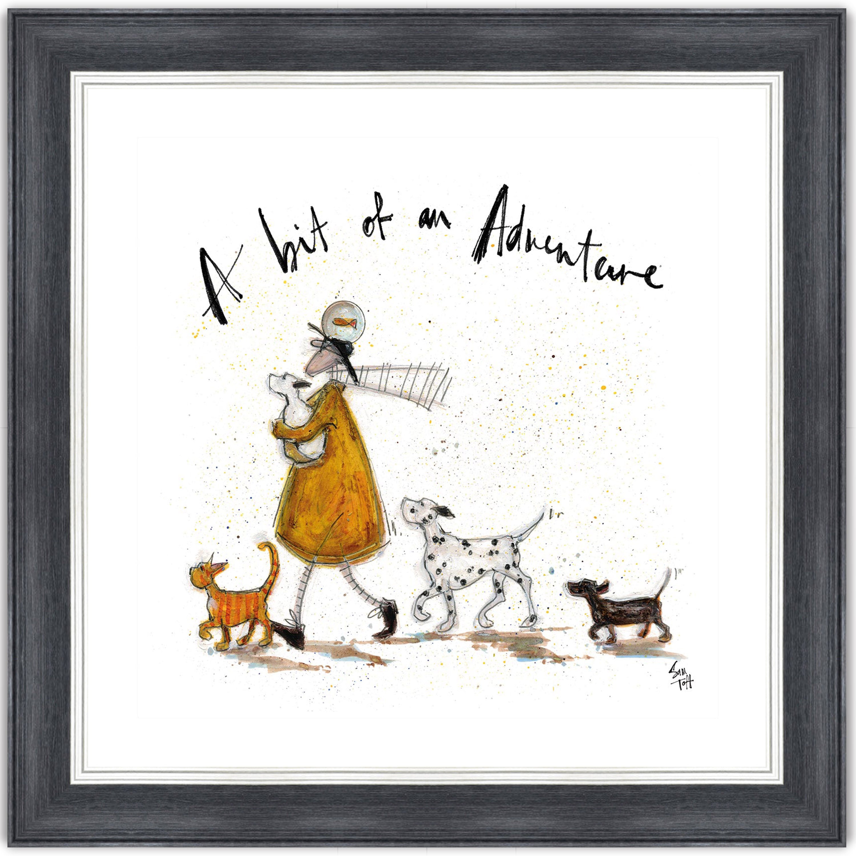 A Bit of an Adventure