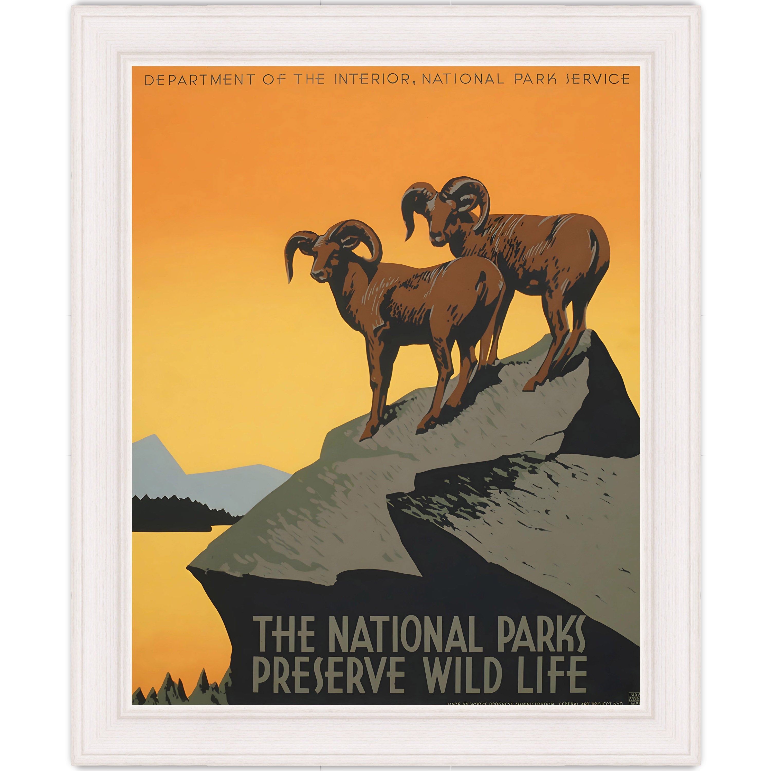The National Parks Preserve Wild Life