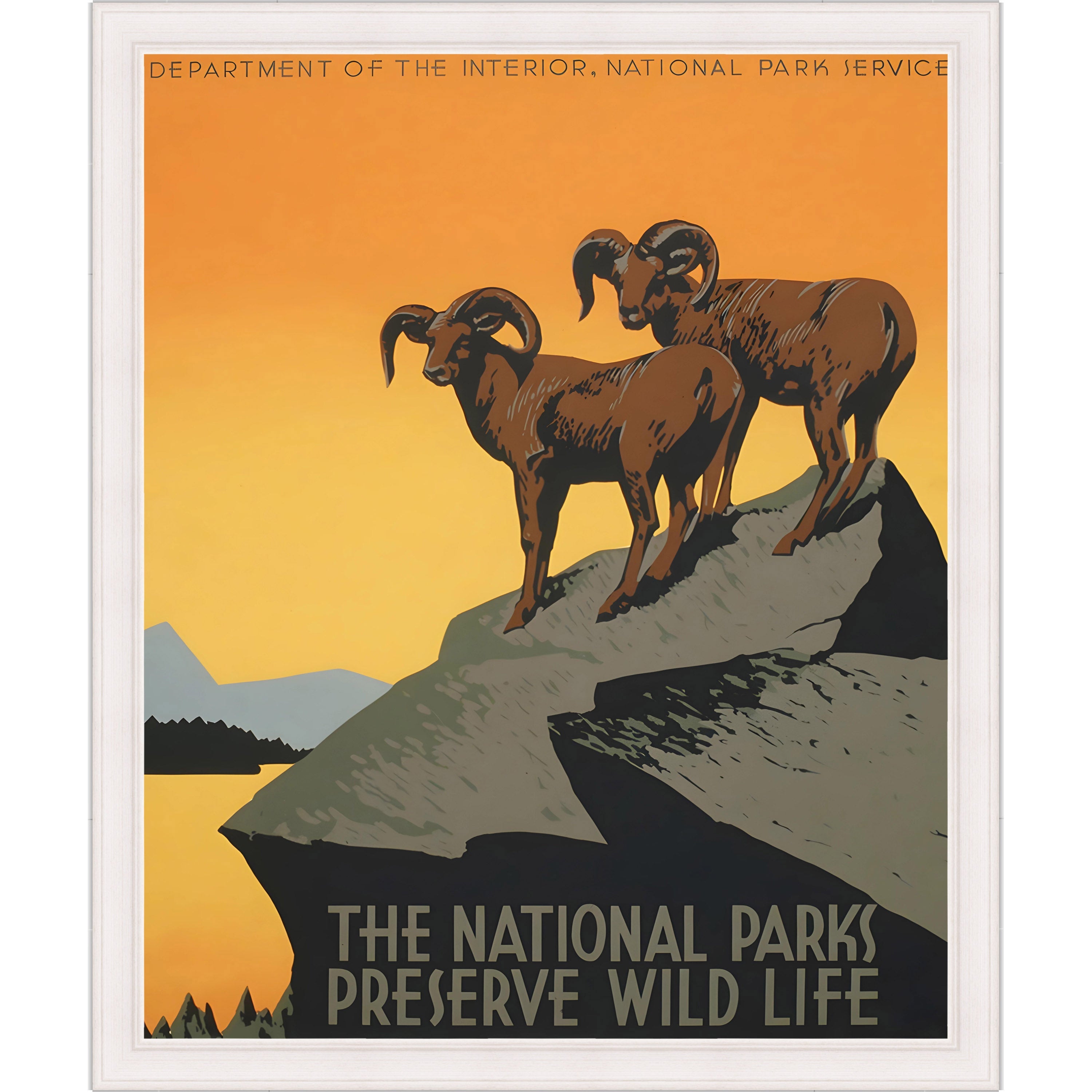 The National Parks Preserve Wild Life