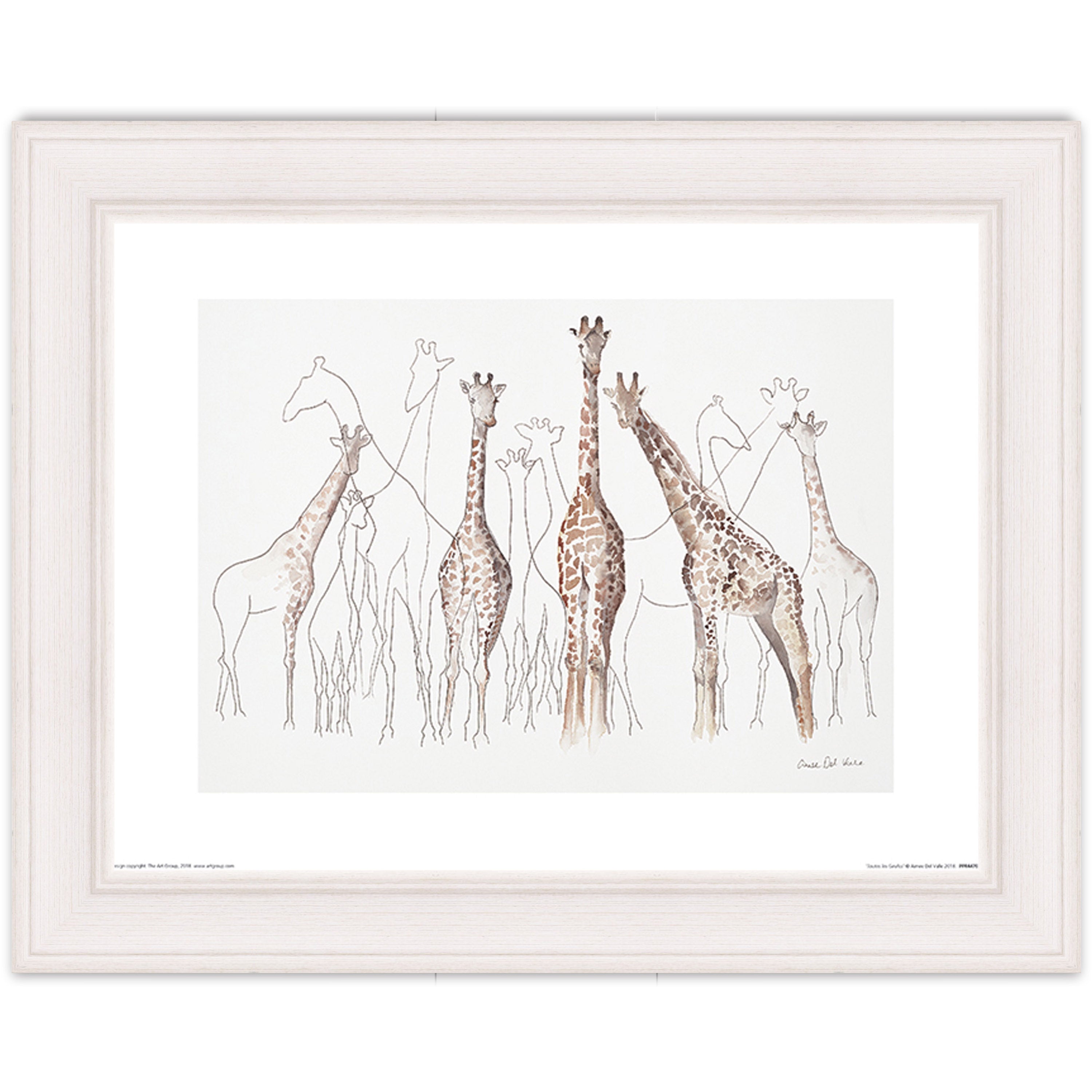 Toutes les Girafes