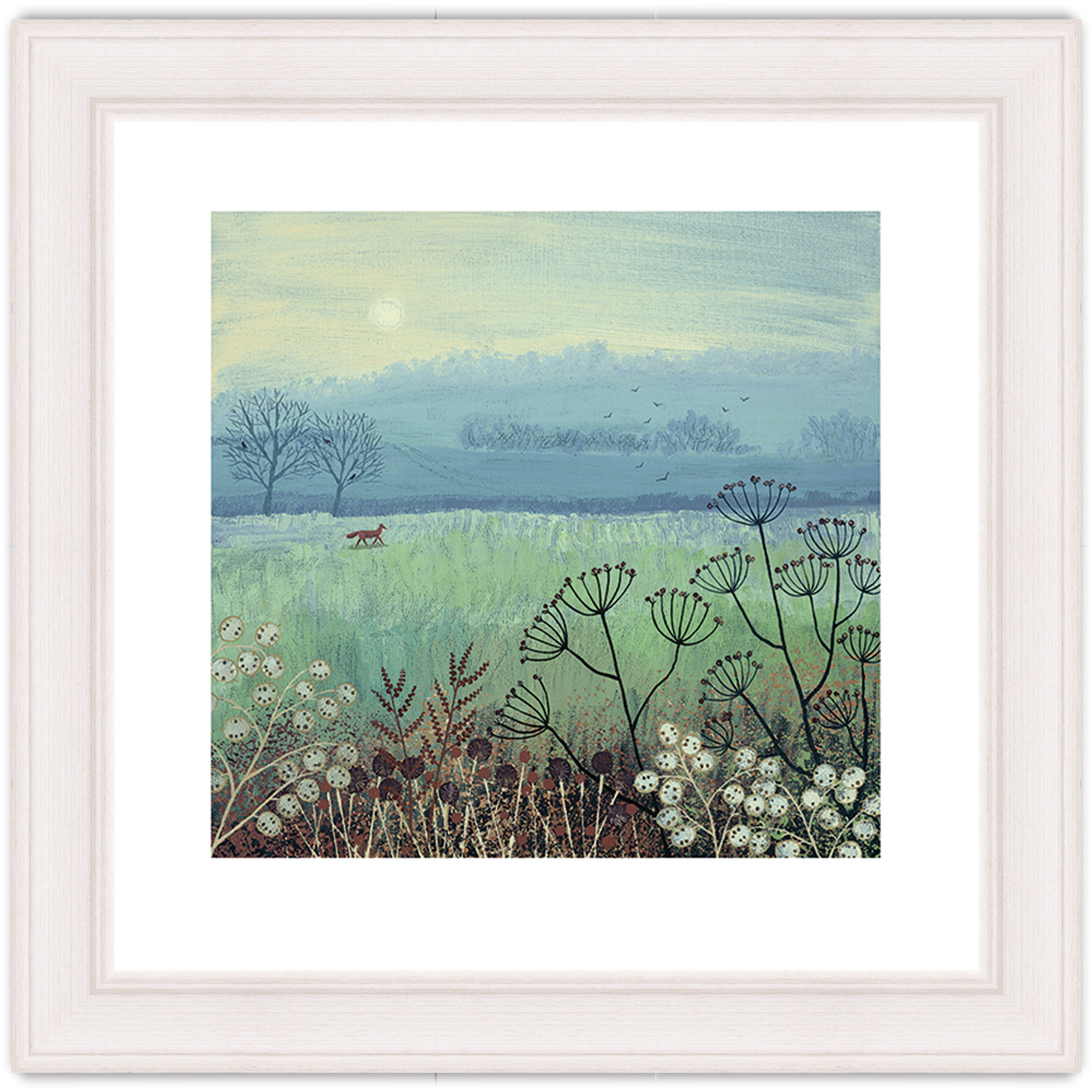 Misty Morning