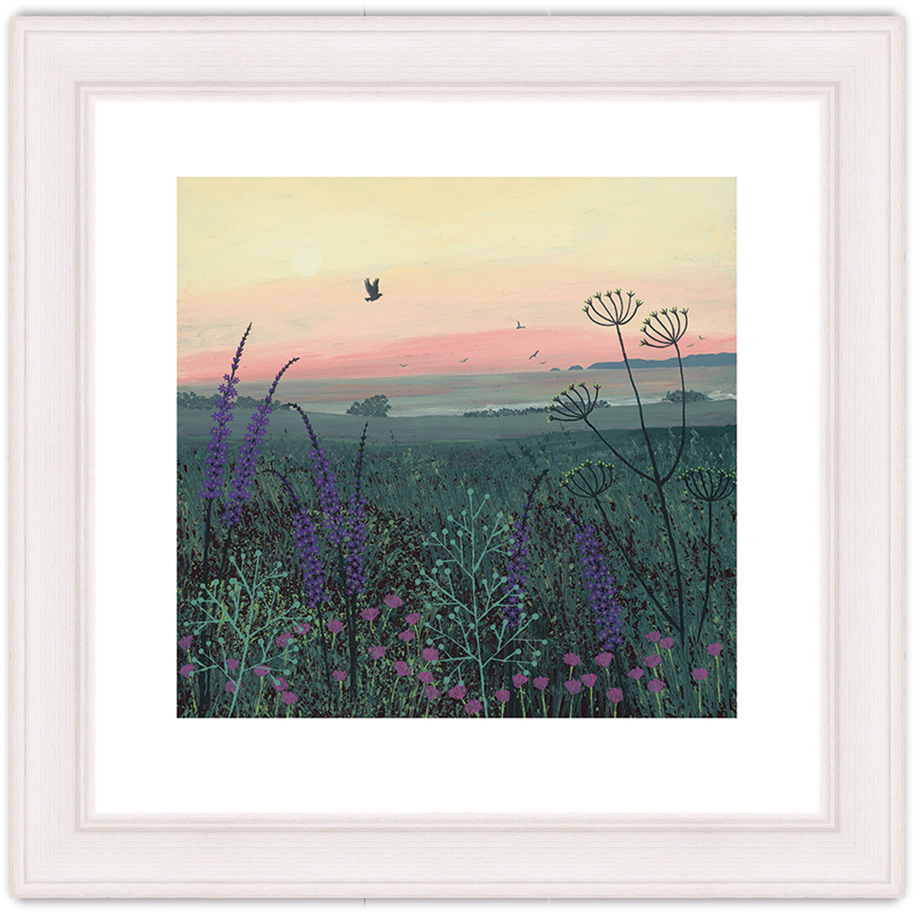Coastal Dawn