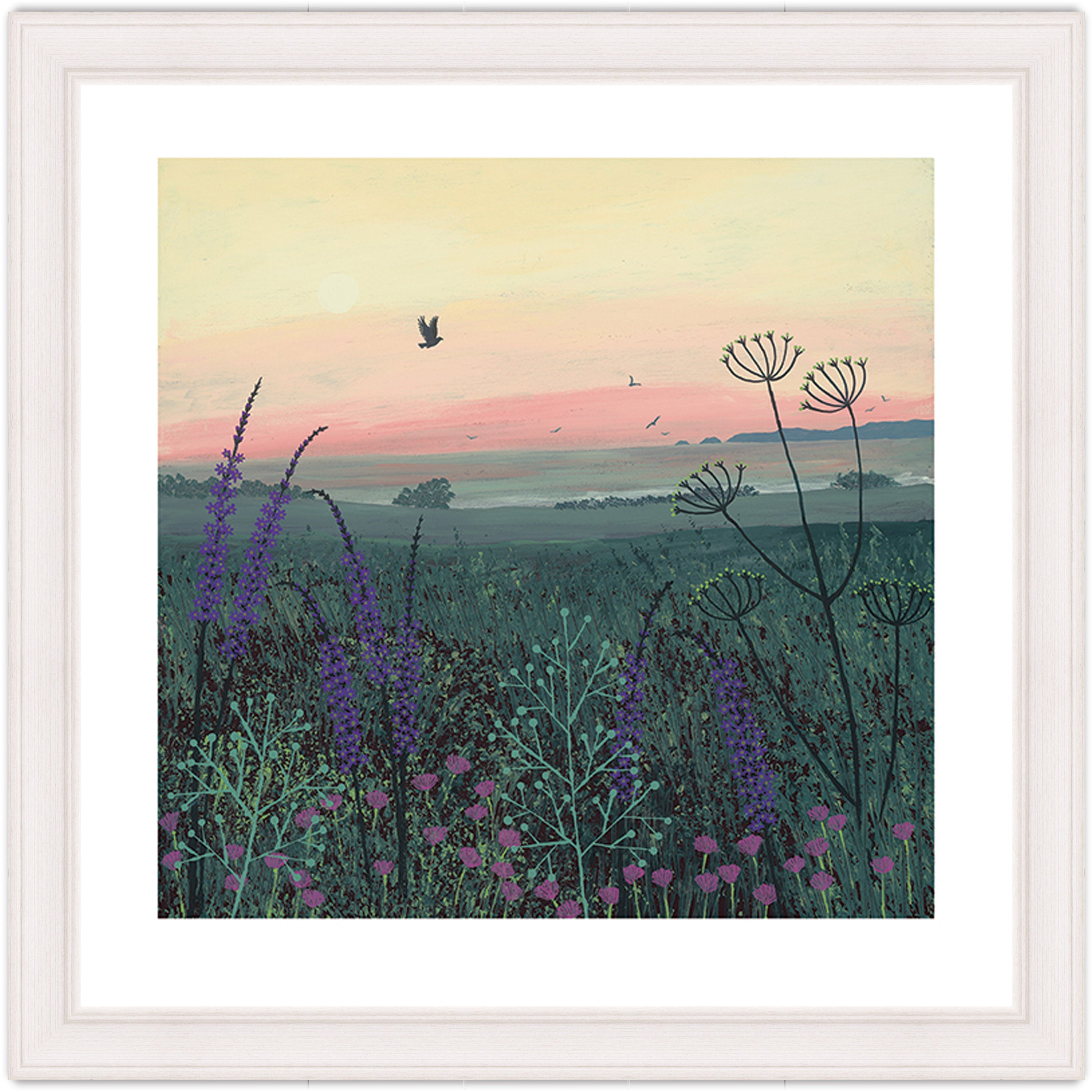 Coastal Dawn