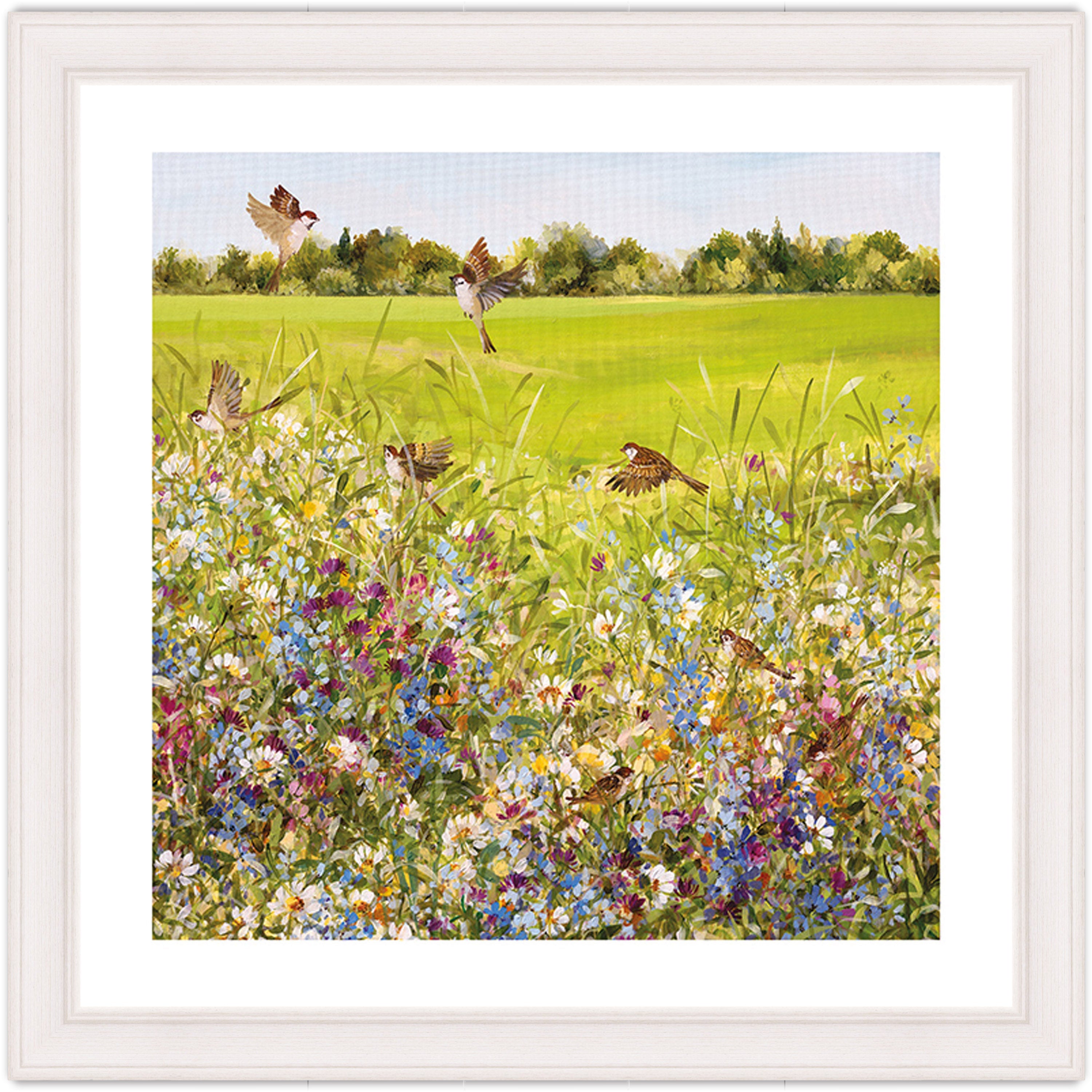 Open Meadow