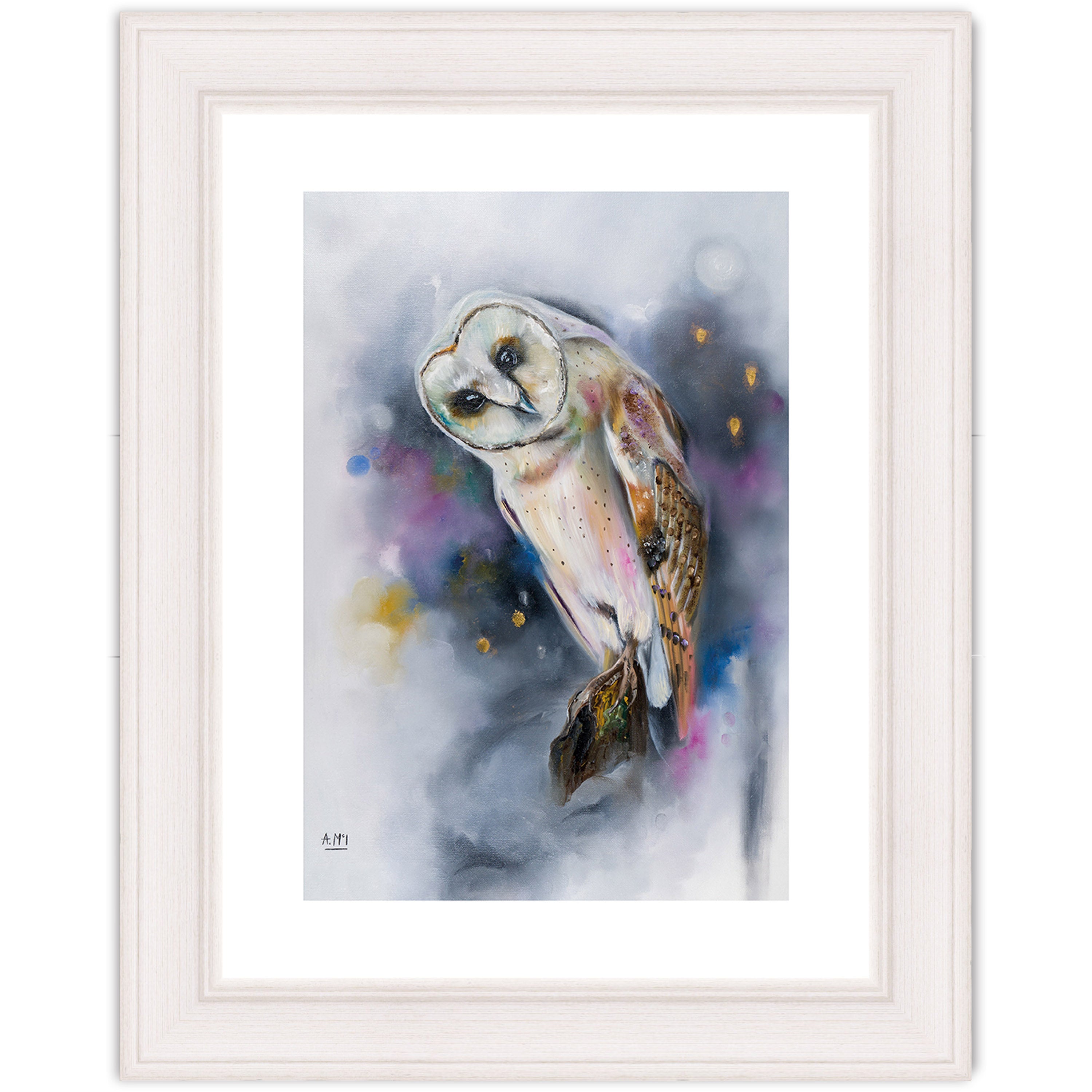Owl Watching