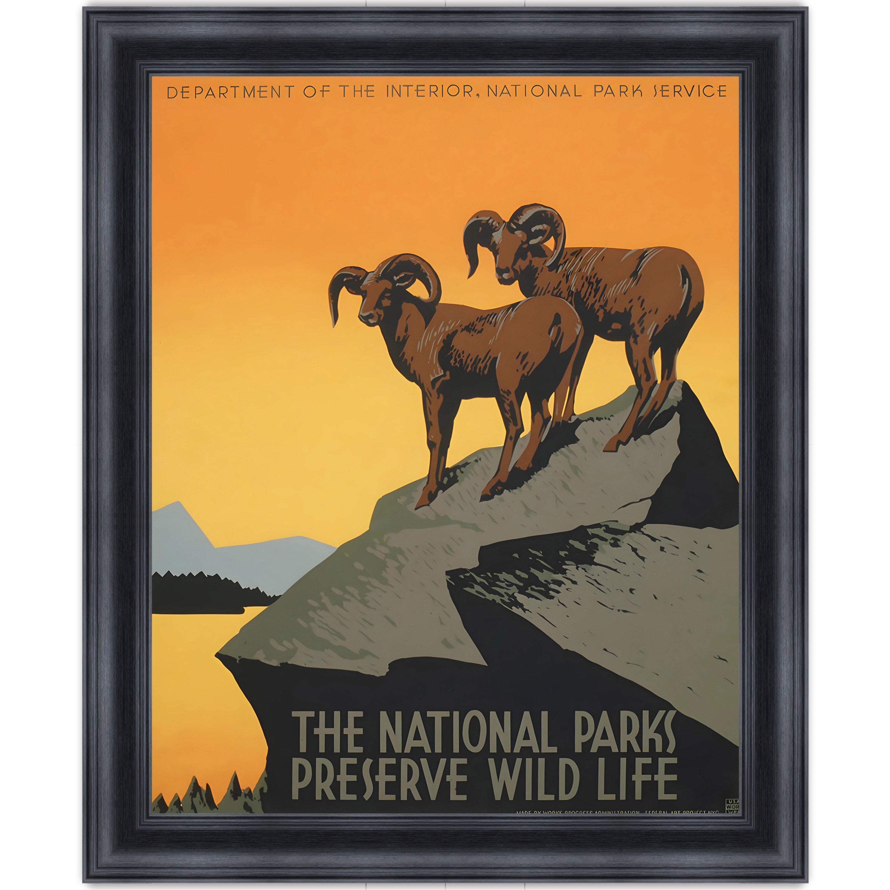 The National Parks Preserve Wild Life