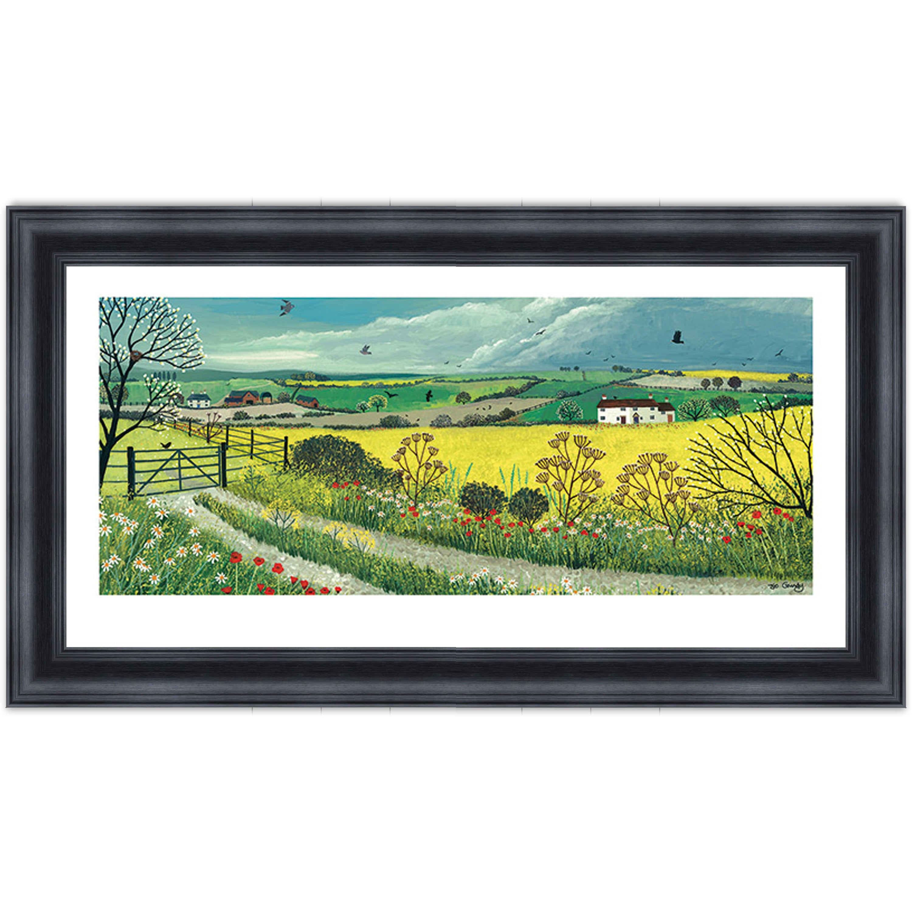 Canola Fields