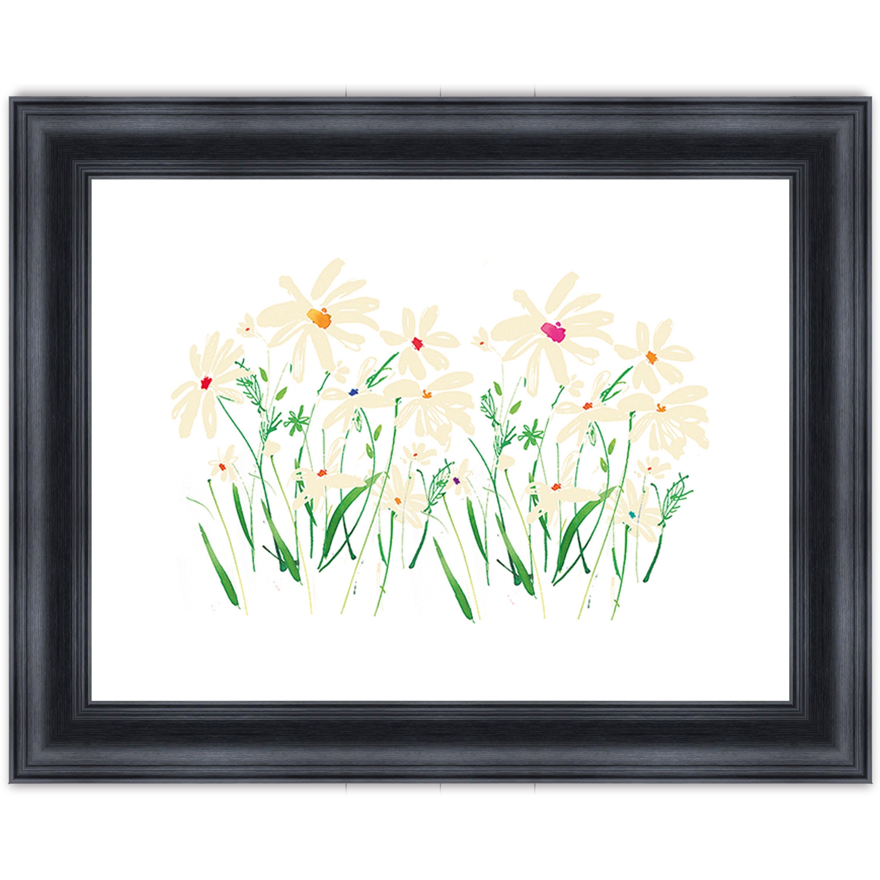 Marguerite Daisy