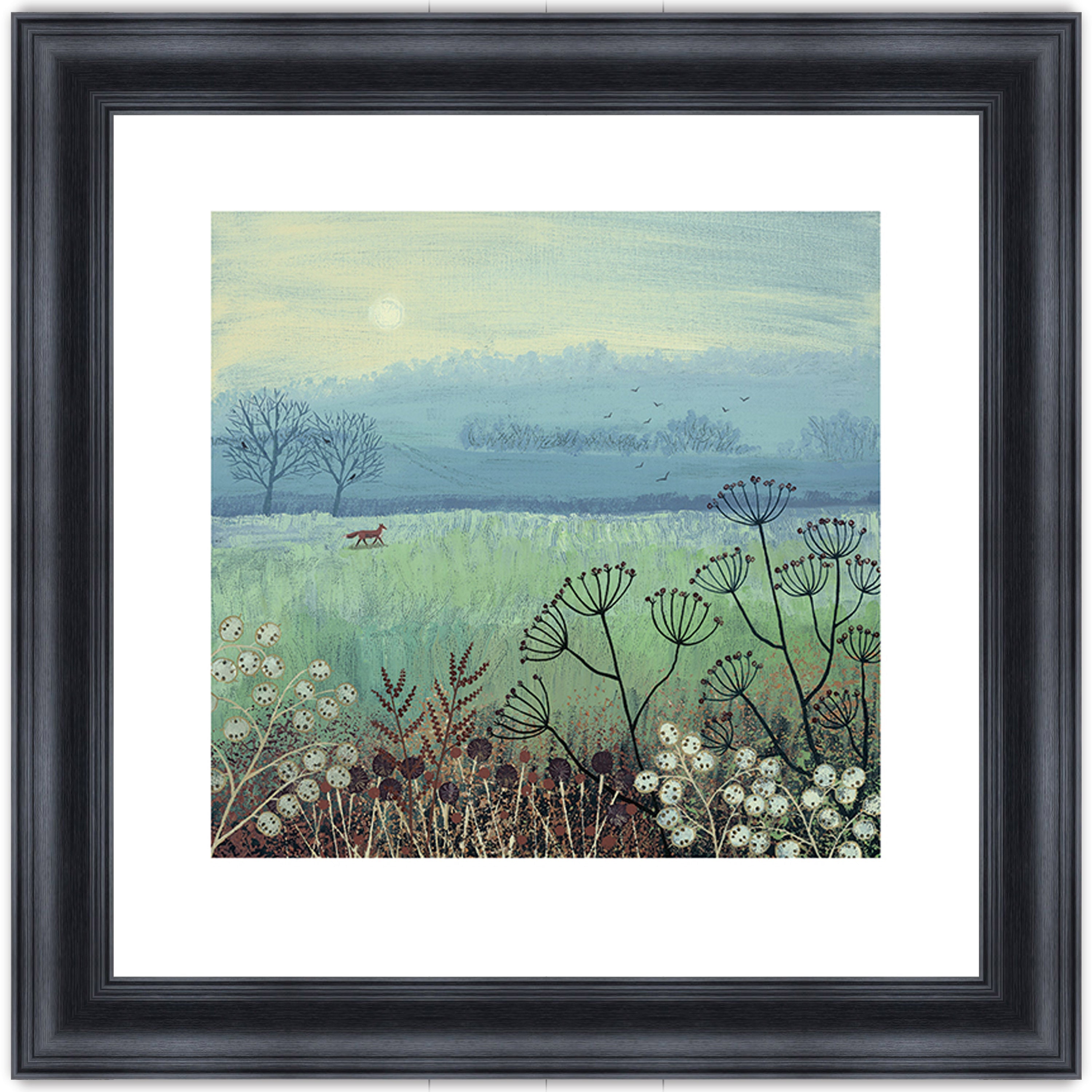 Misty Morning