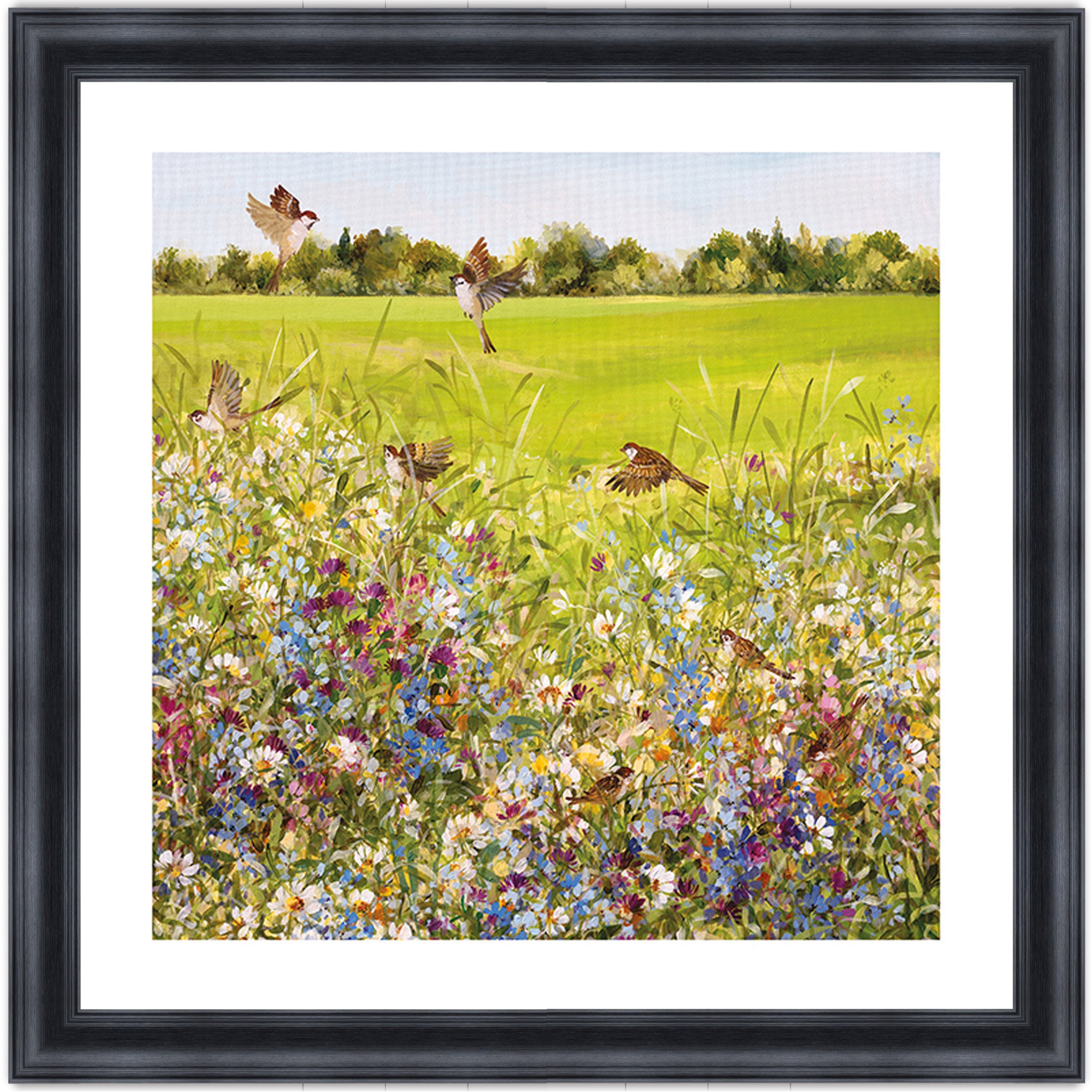 Open Meadow
