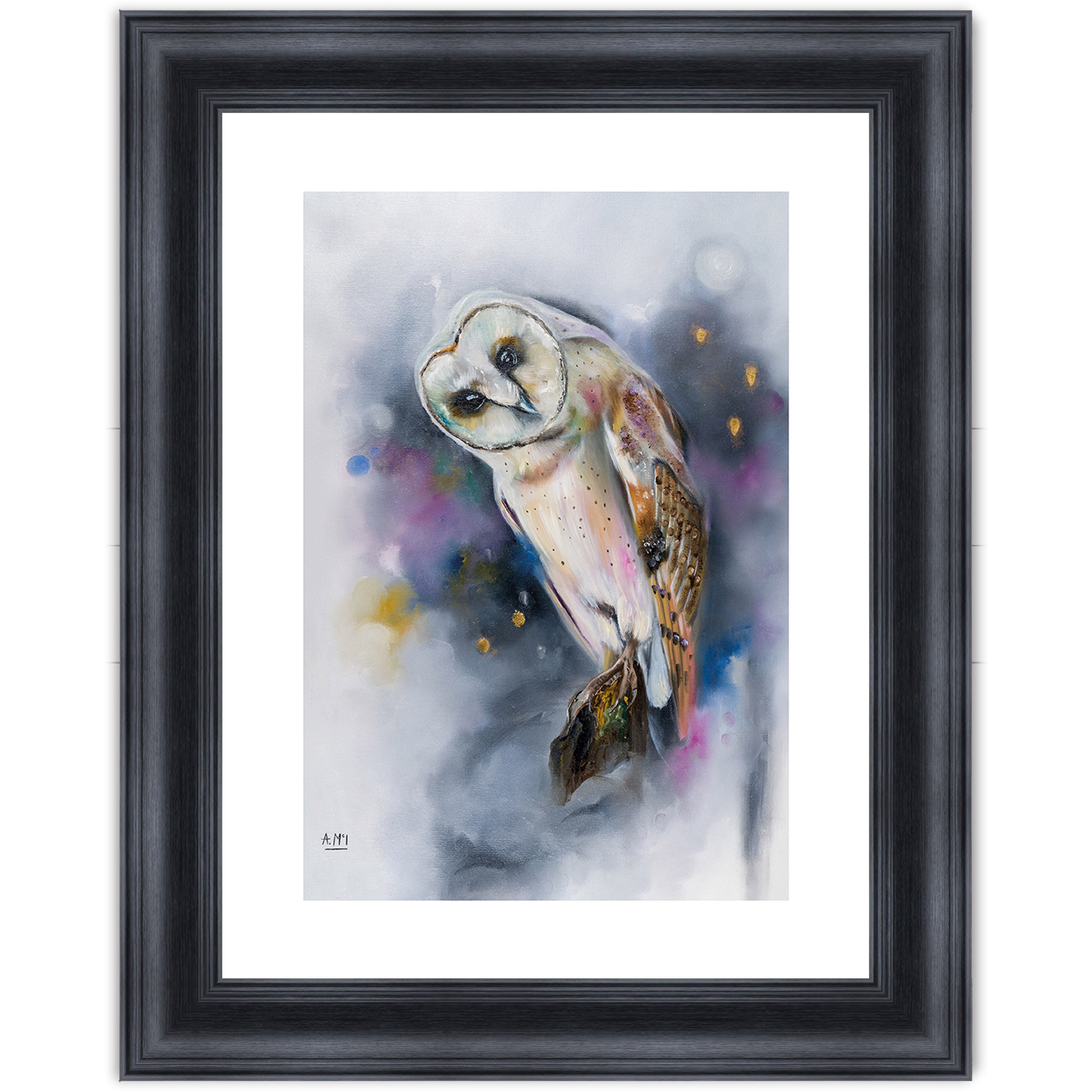 Owl Watching