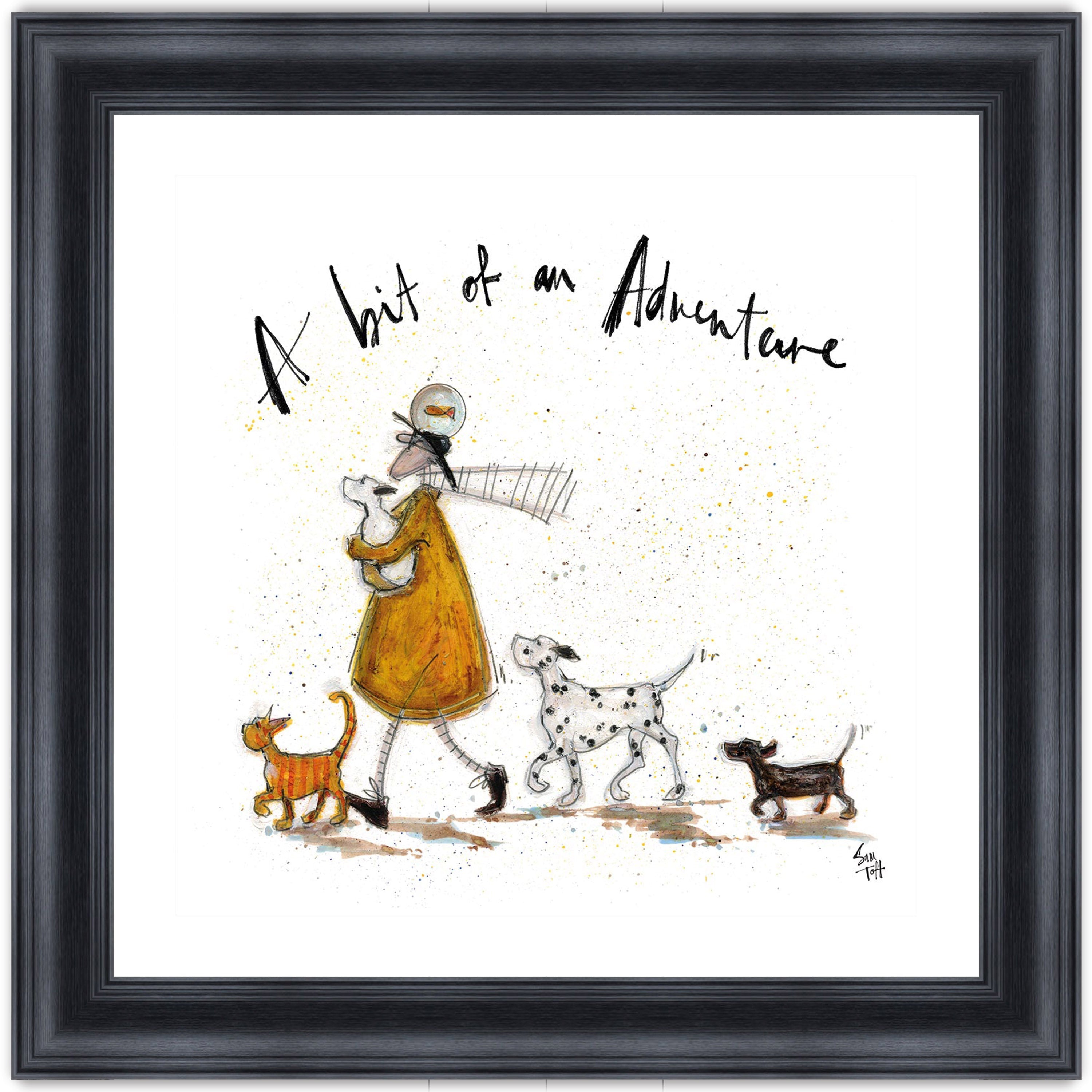 A Bit of an Adventure