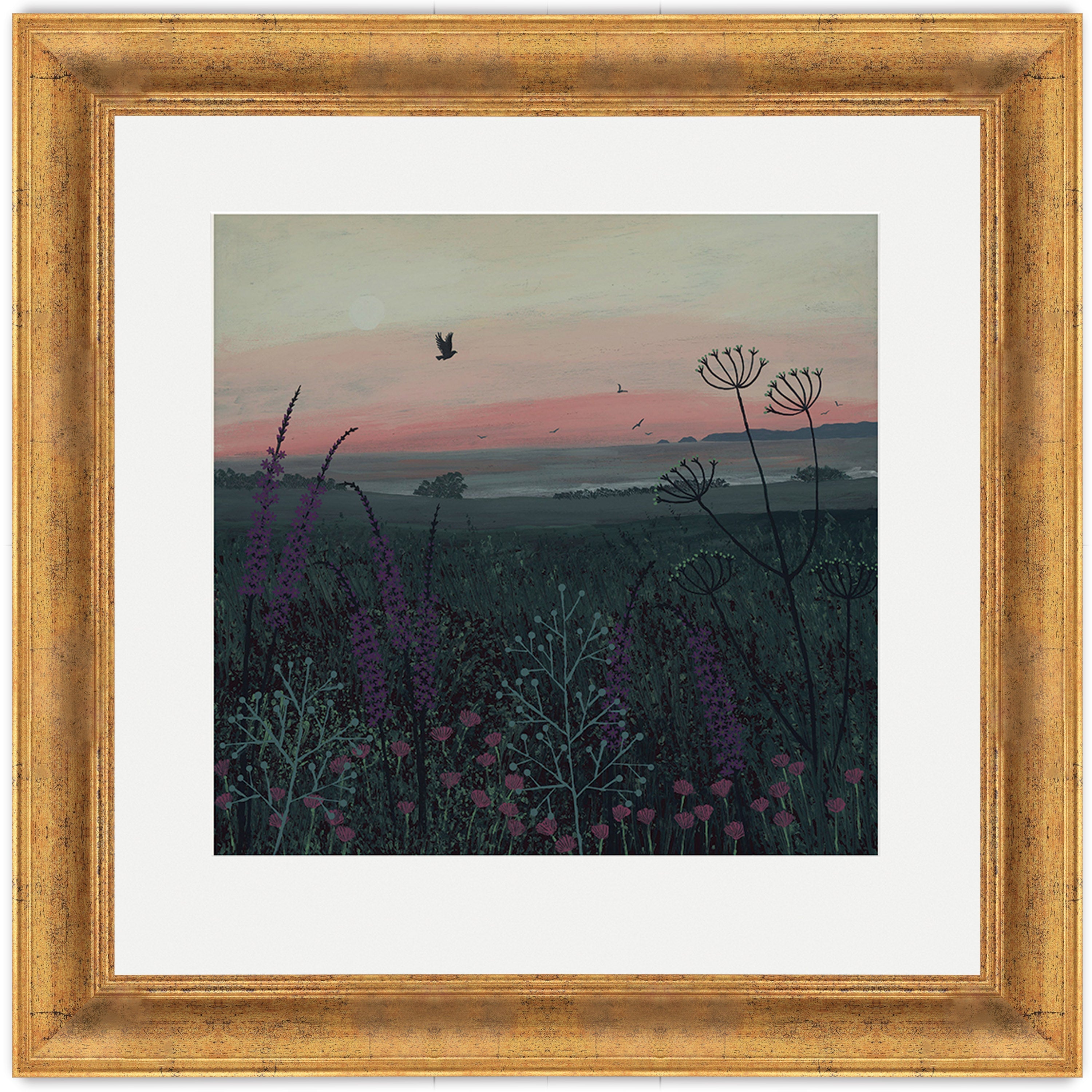 Coastal Dawn
