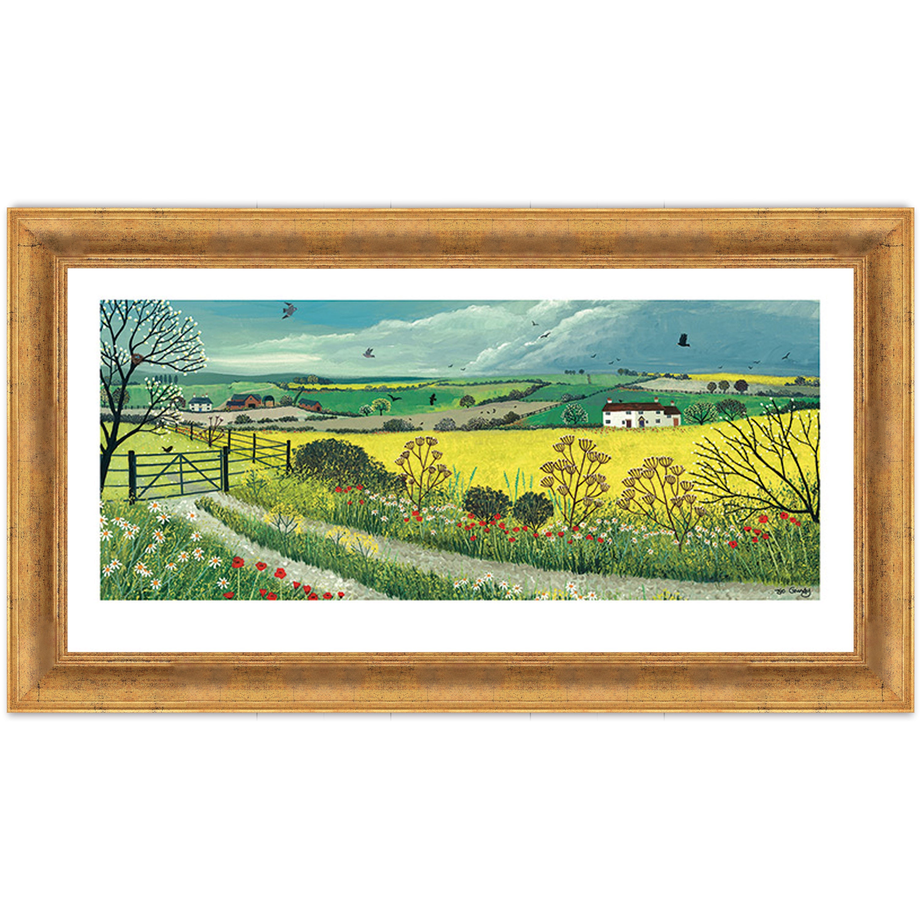 Canola Fields
