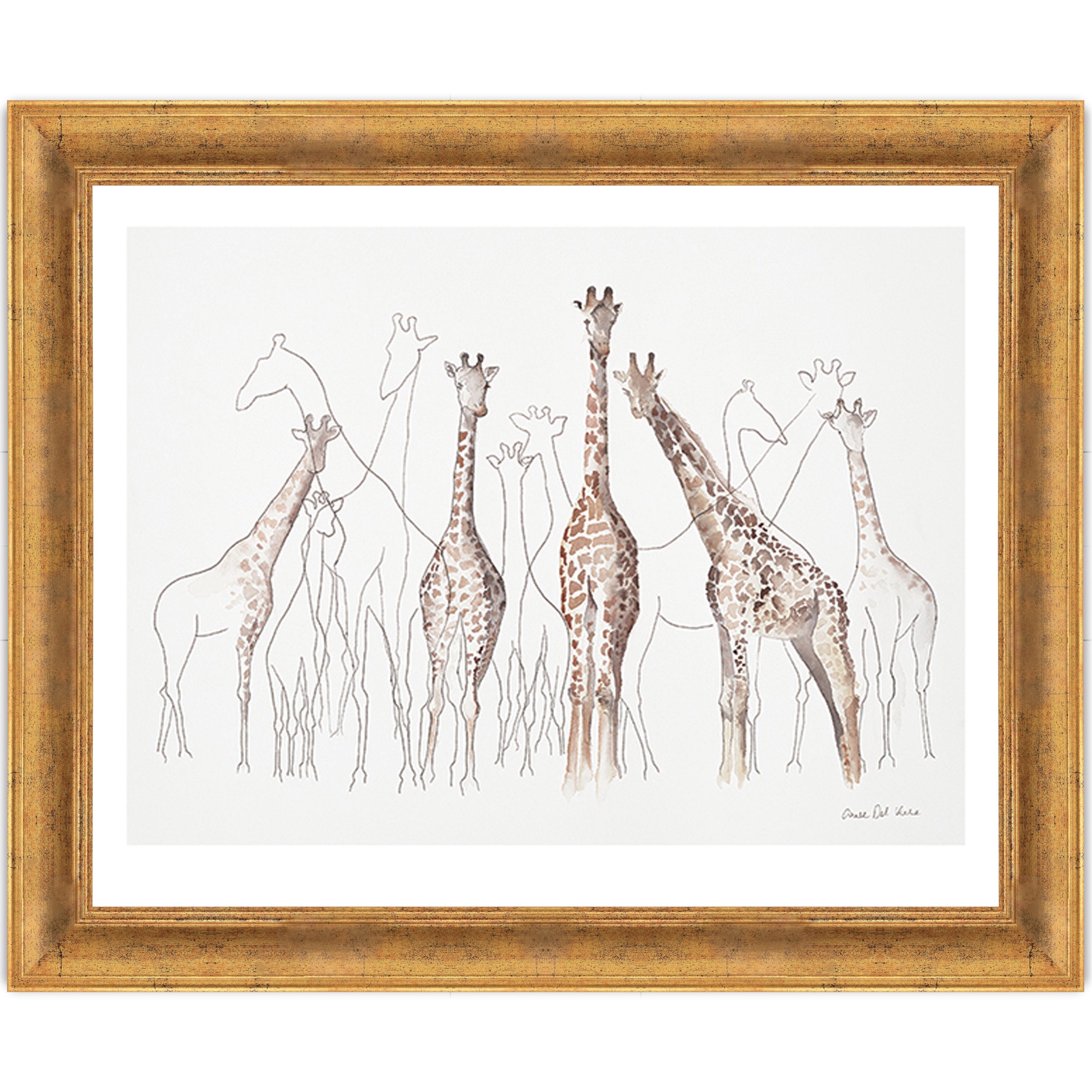 Toutes les Girafes