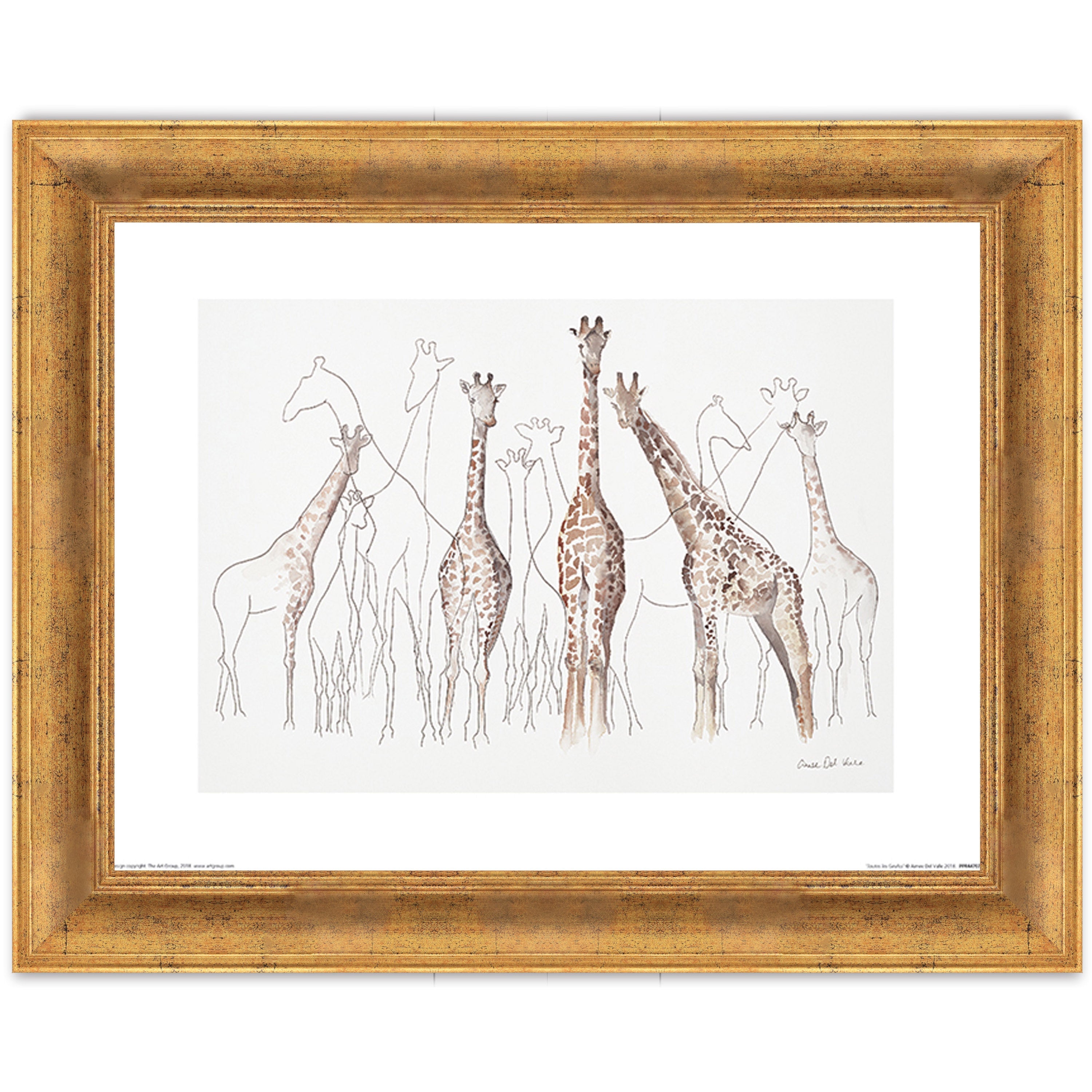Toutes les Girafes