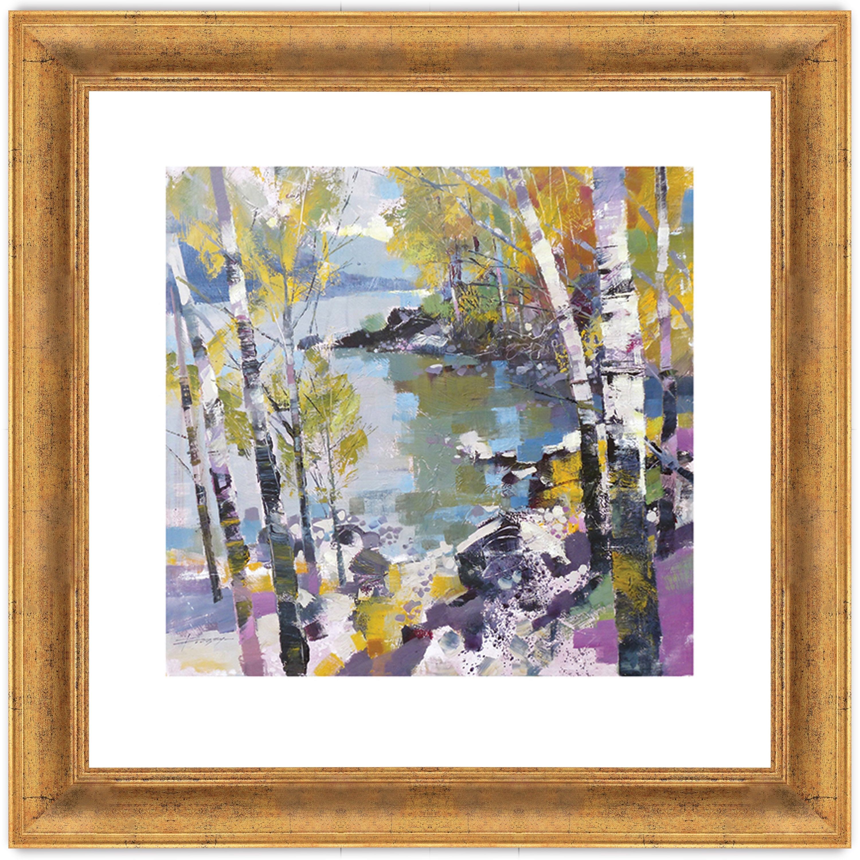 Birch in Spring
