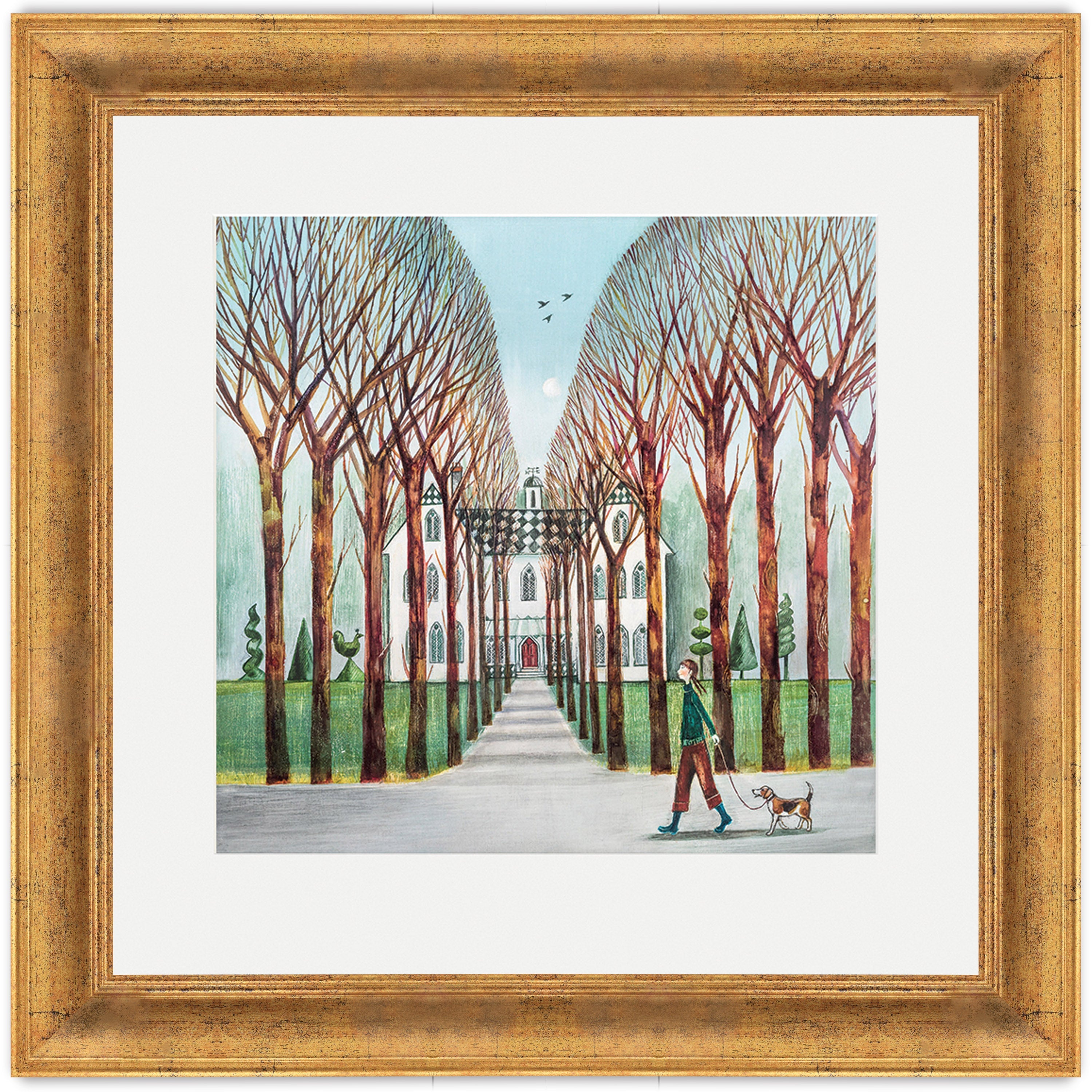 Avenue