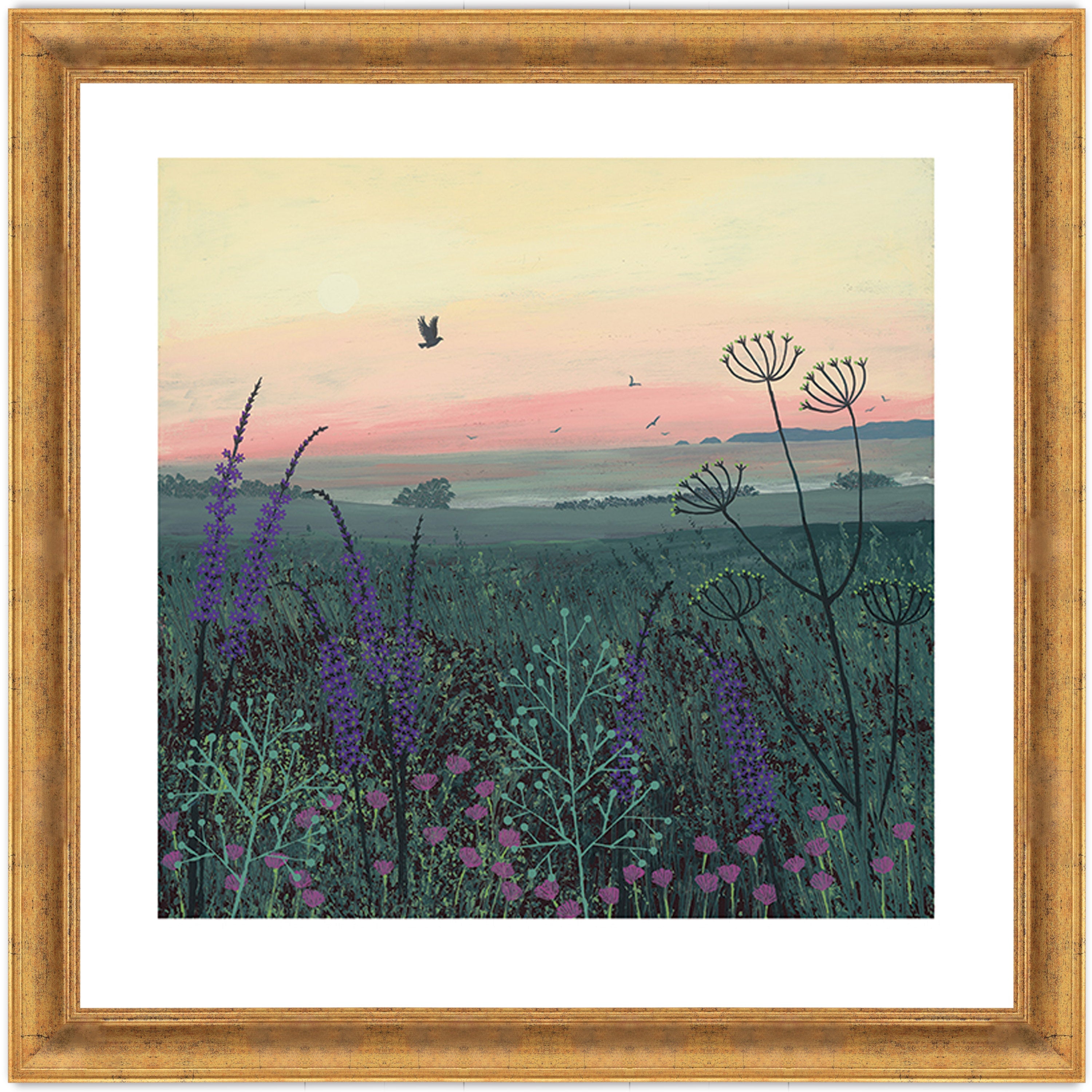 Coastal Dawn