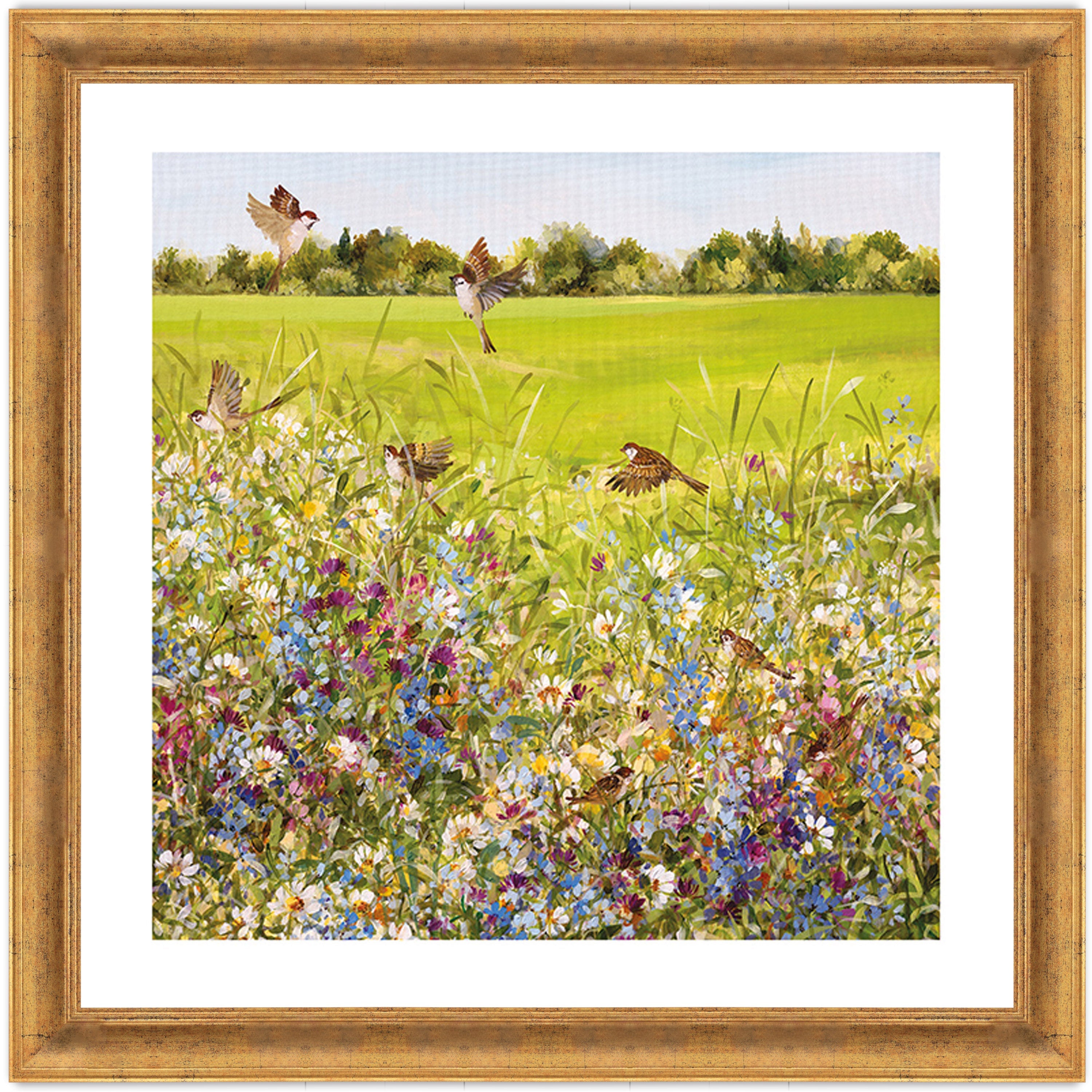 Open Meadow