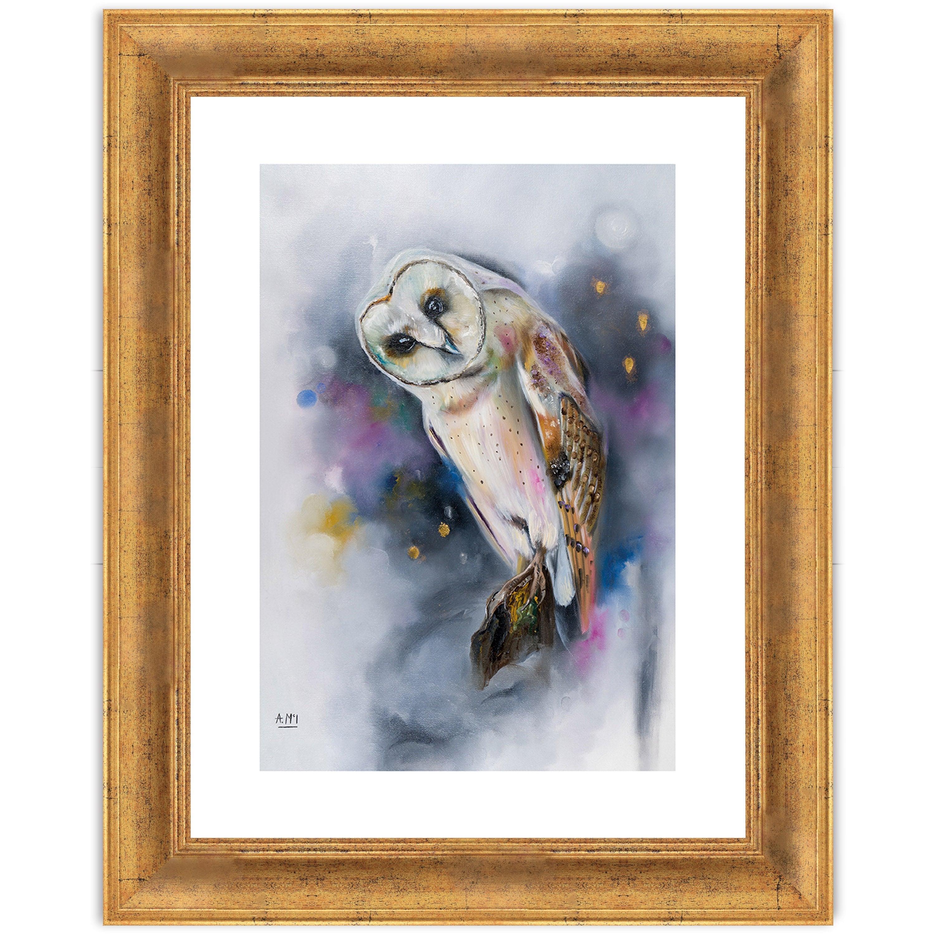 Owl Watching