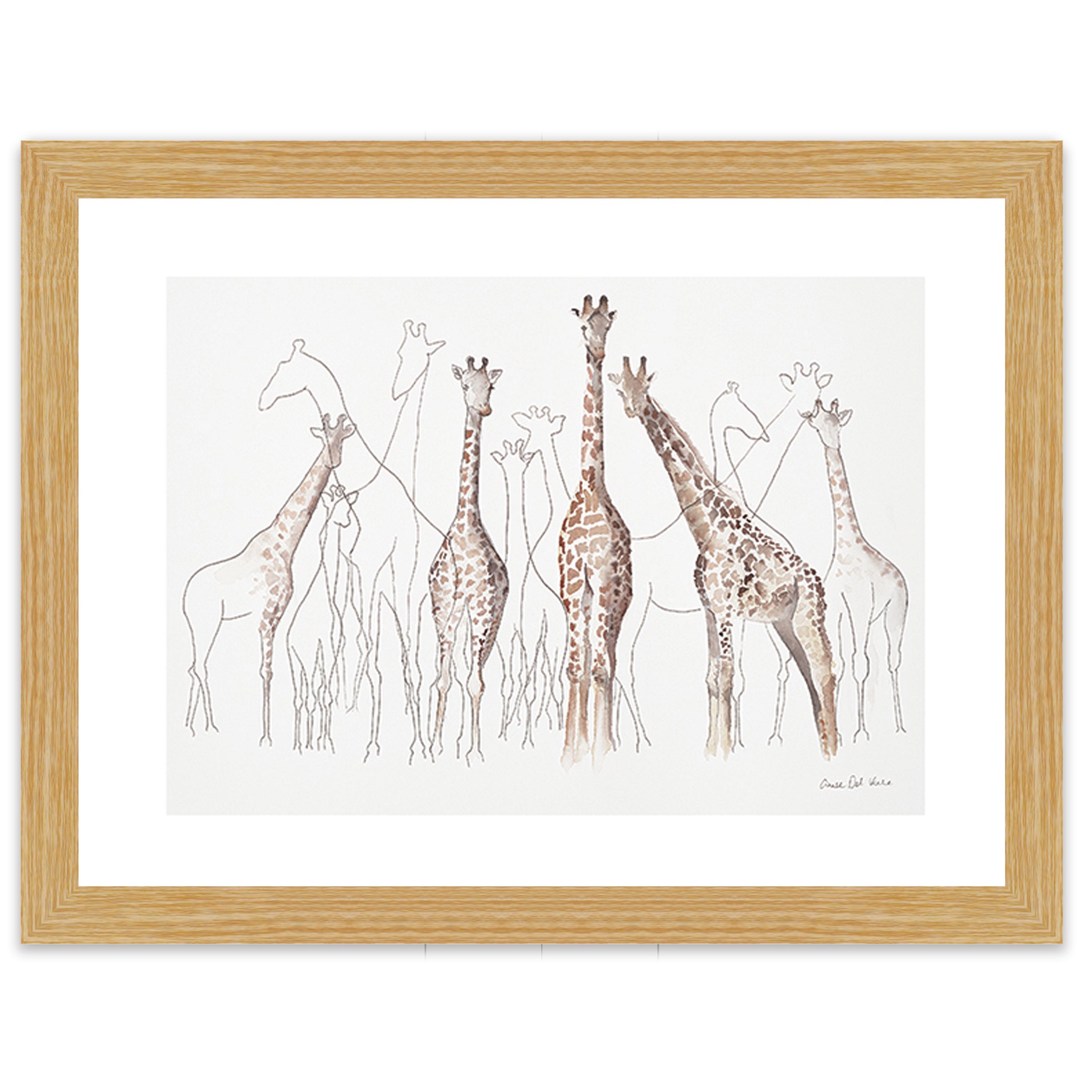 Toutes les Girafes