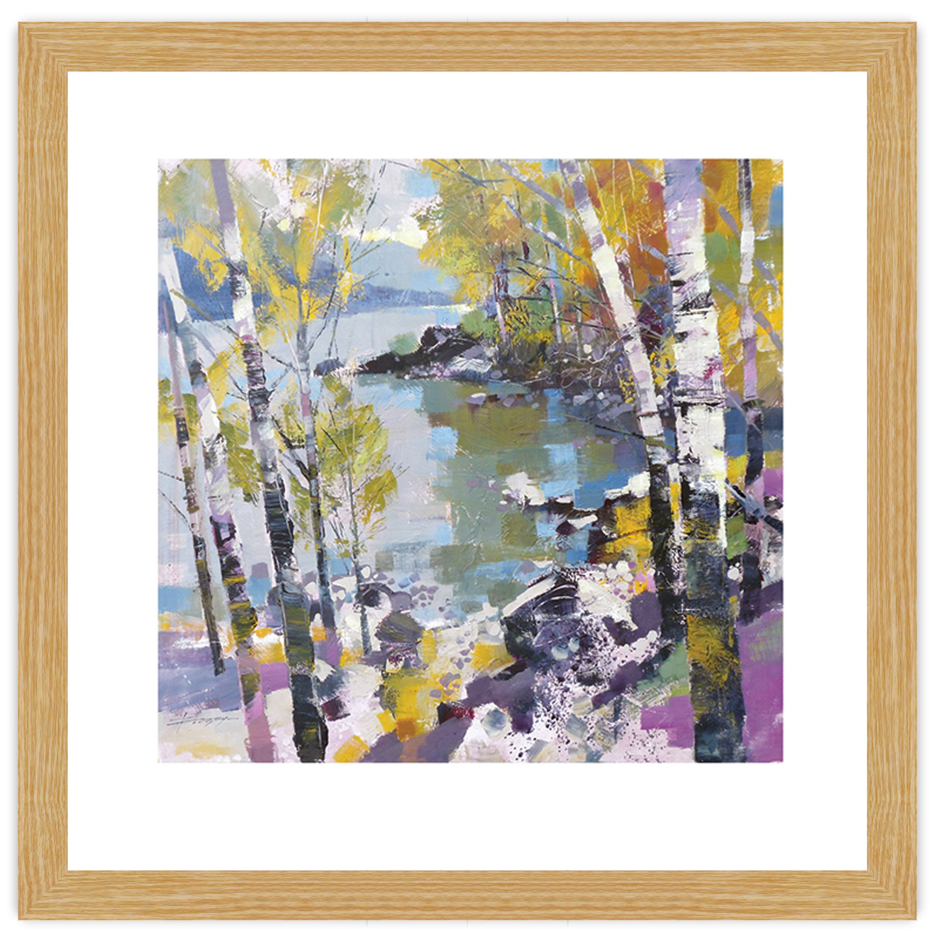 Birch in Spring