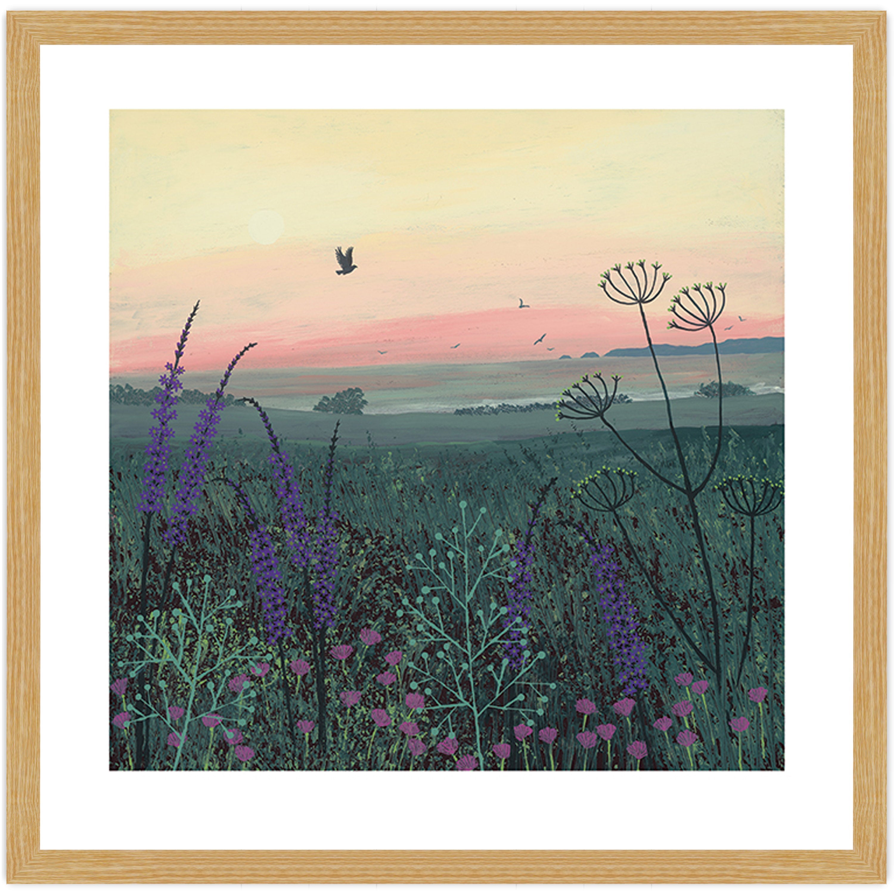 Coastal Dawn