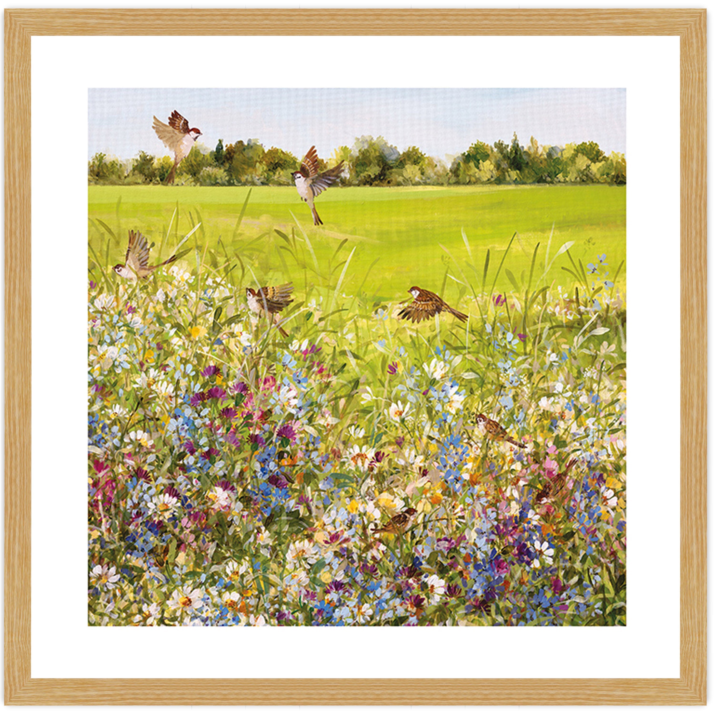 Open Meadow