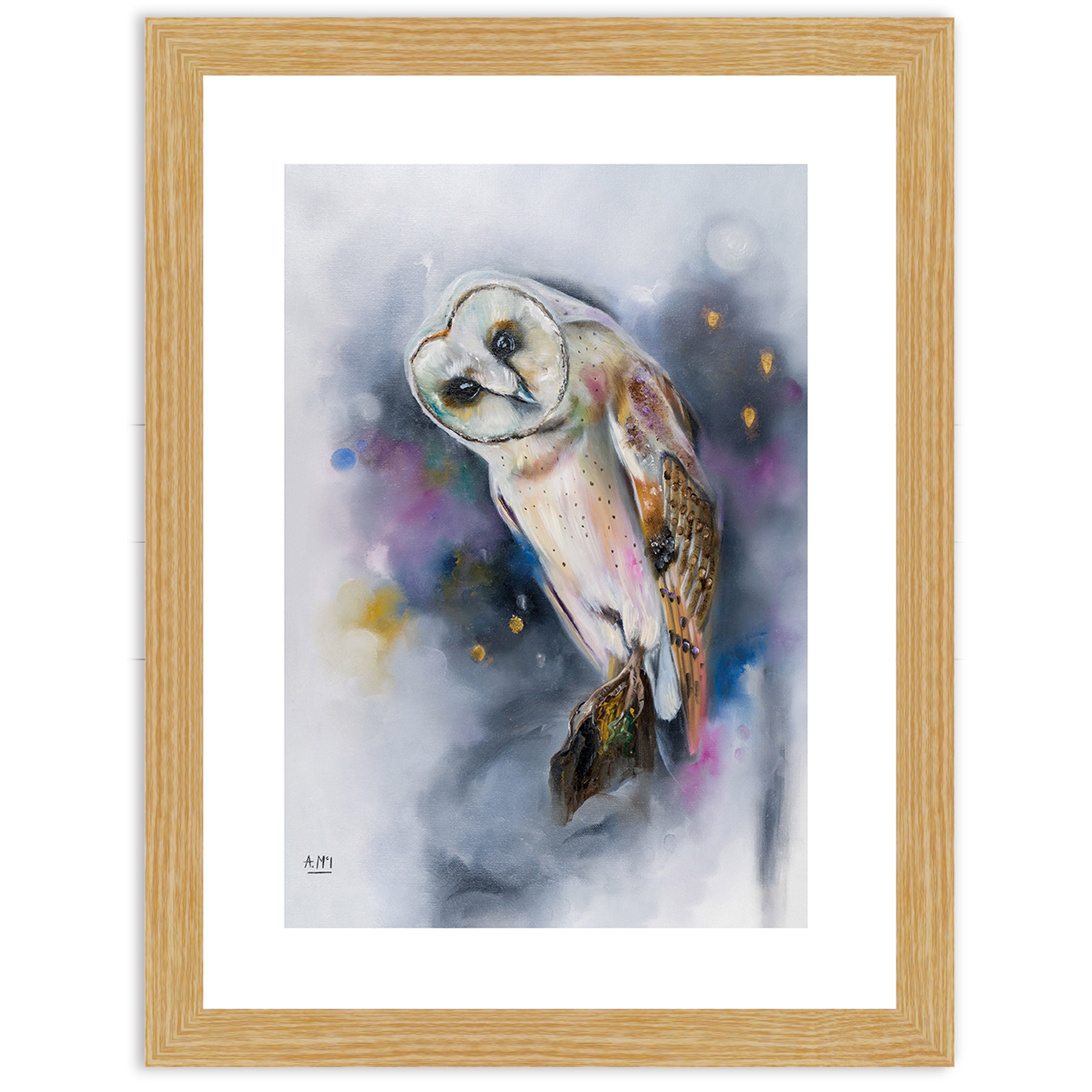 Owl Watching