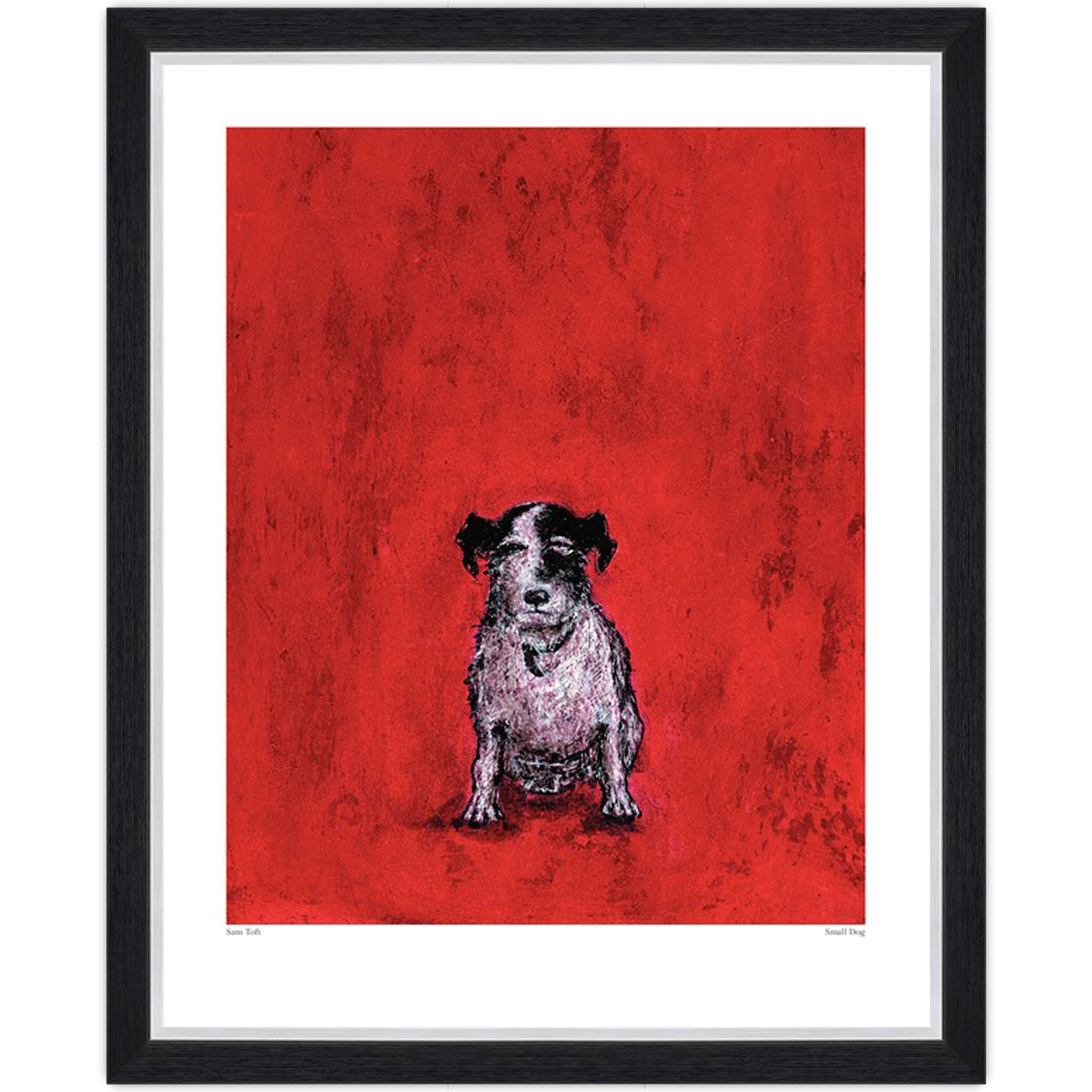Small Dog