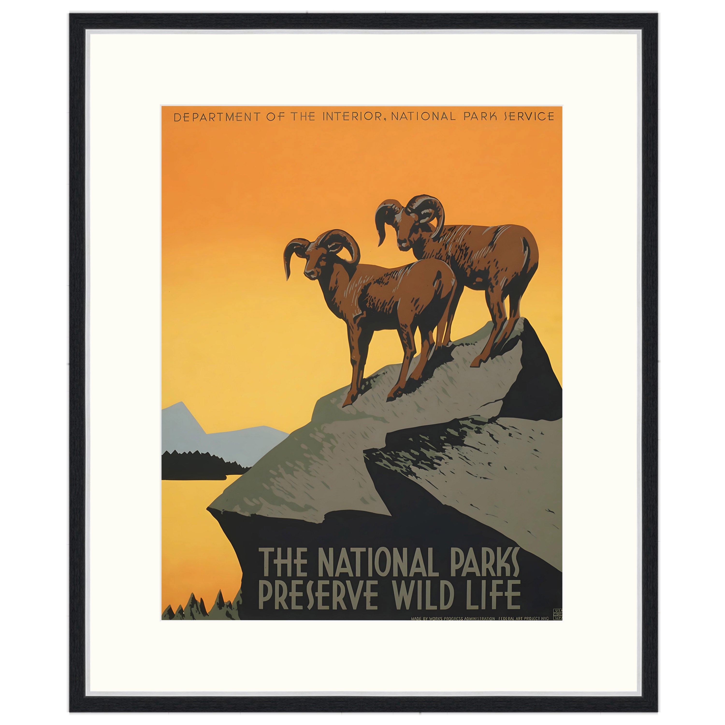 The National Parks Preserve Wild Life