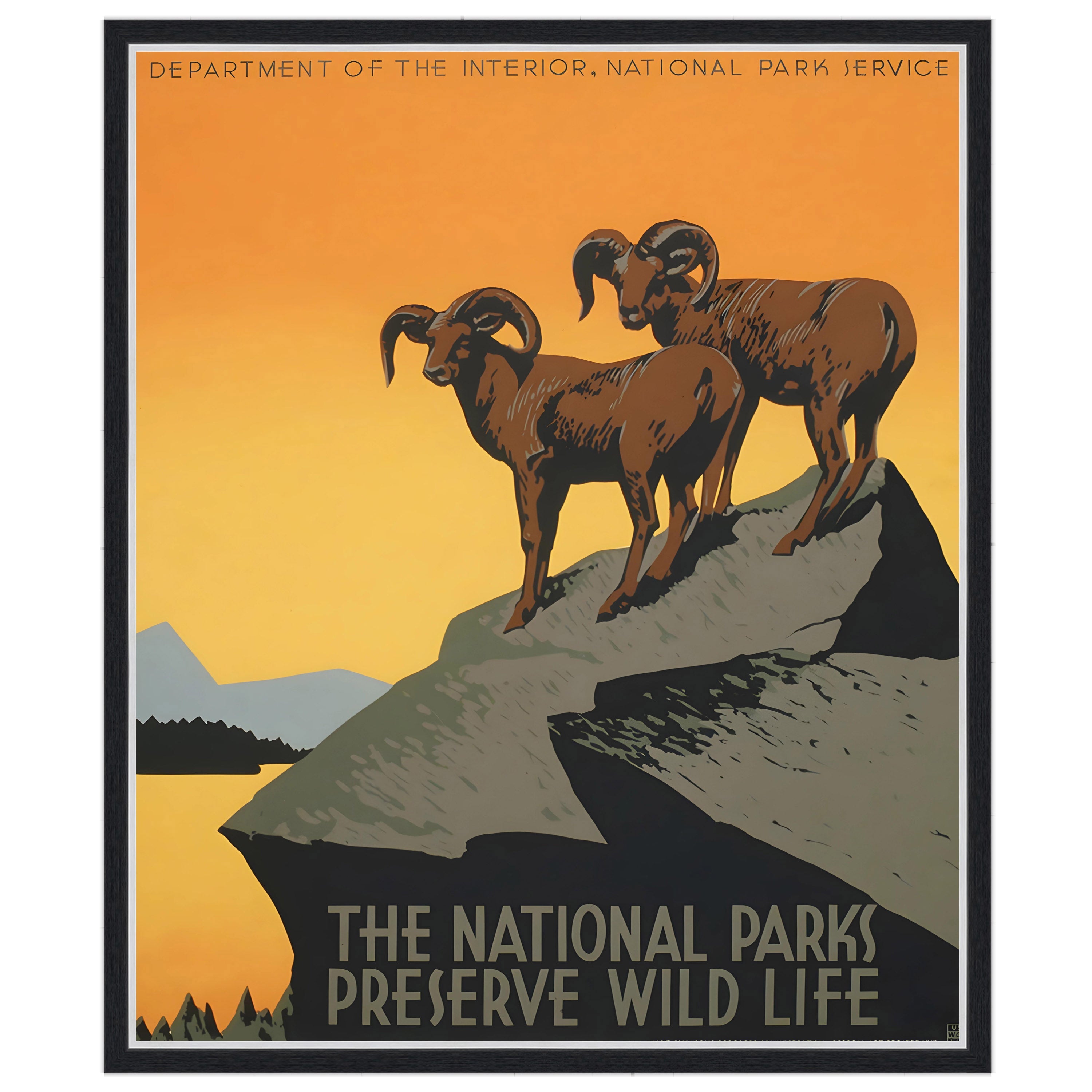 The National Parks Preserve Wild Life