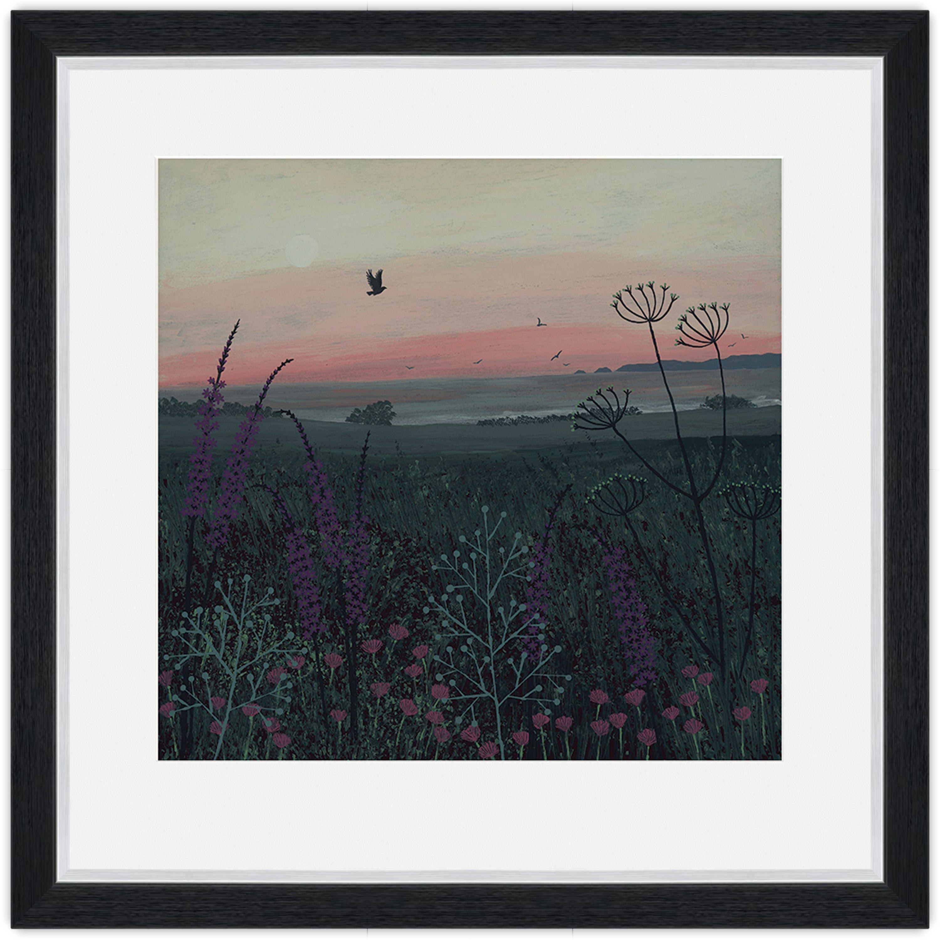 Coastal Dawn